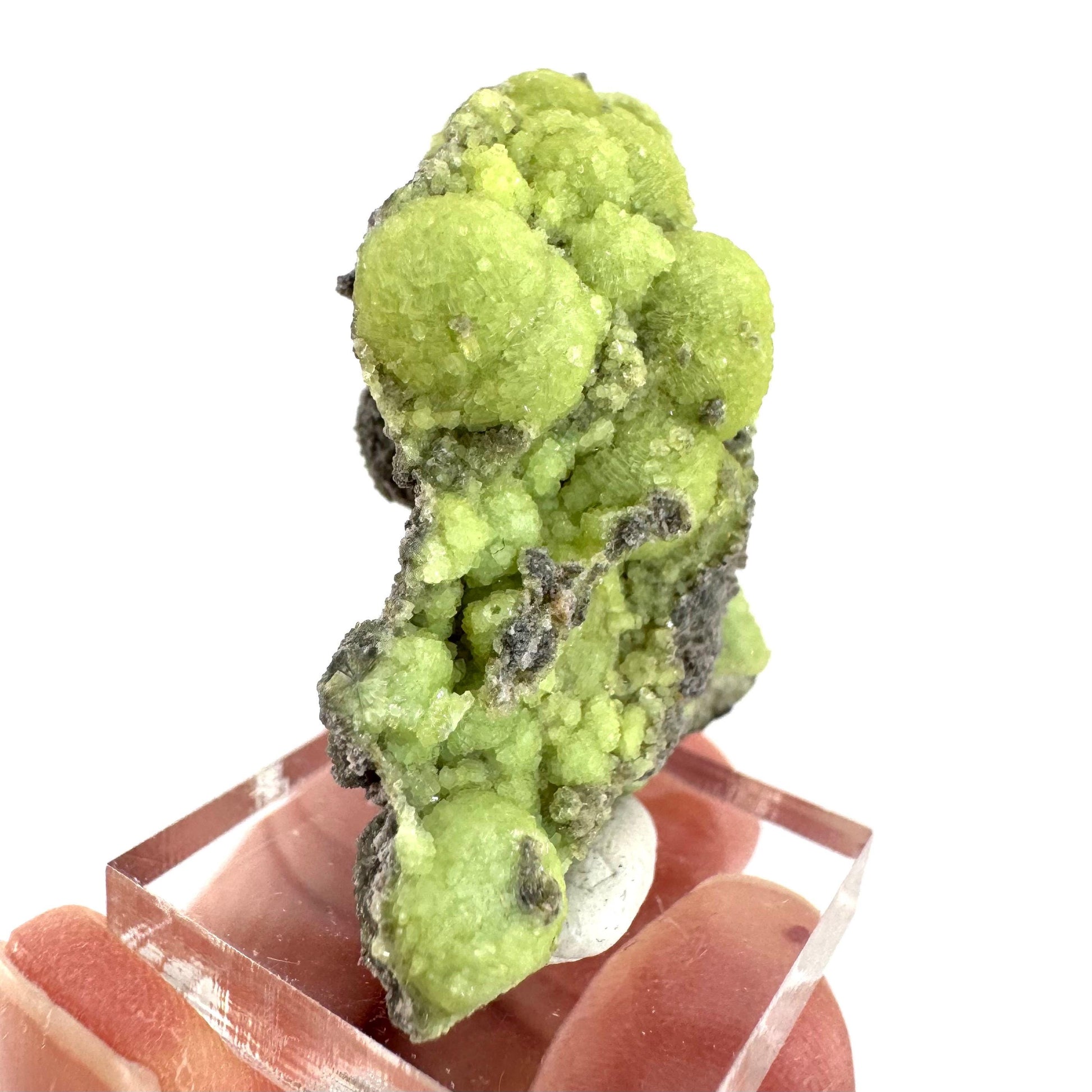 Wavellite (Arkansas, USA) | green crystal cluster, mineral specimen