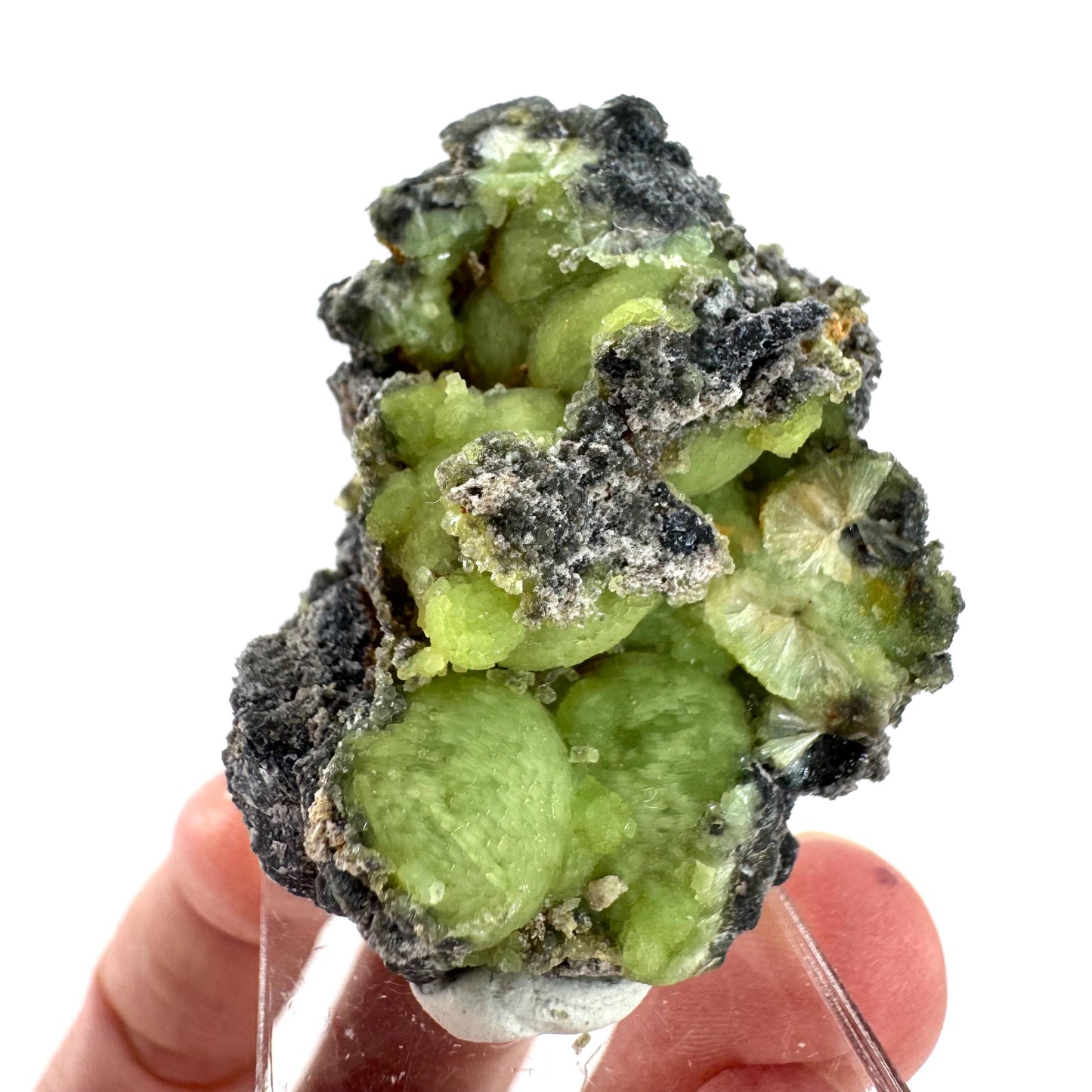 Wavellite (Arkansas, USA) | green crystal cluster, mineral specimen