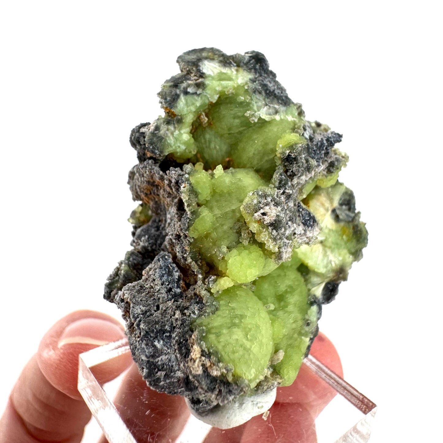 Wavellite (Arkansas, USA) | green crystal cluster, mineral specimen