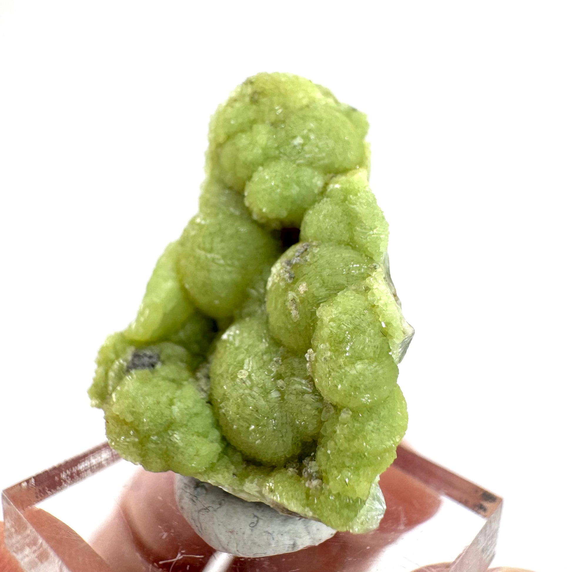 Wavellite (Arkansas, USA) | green crystal cluster, mineral specimen