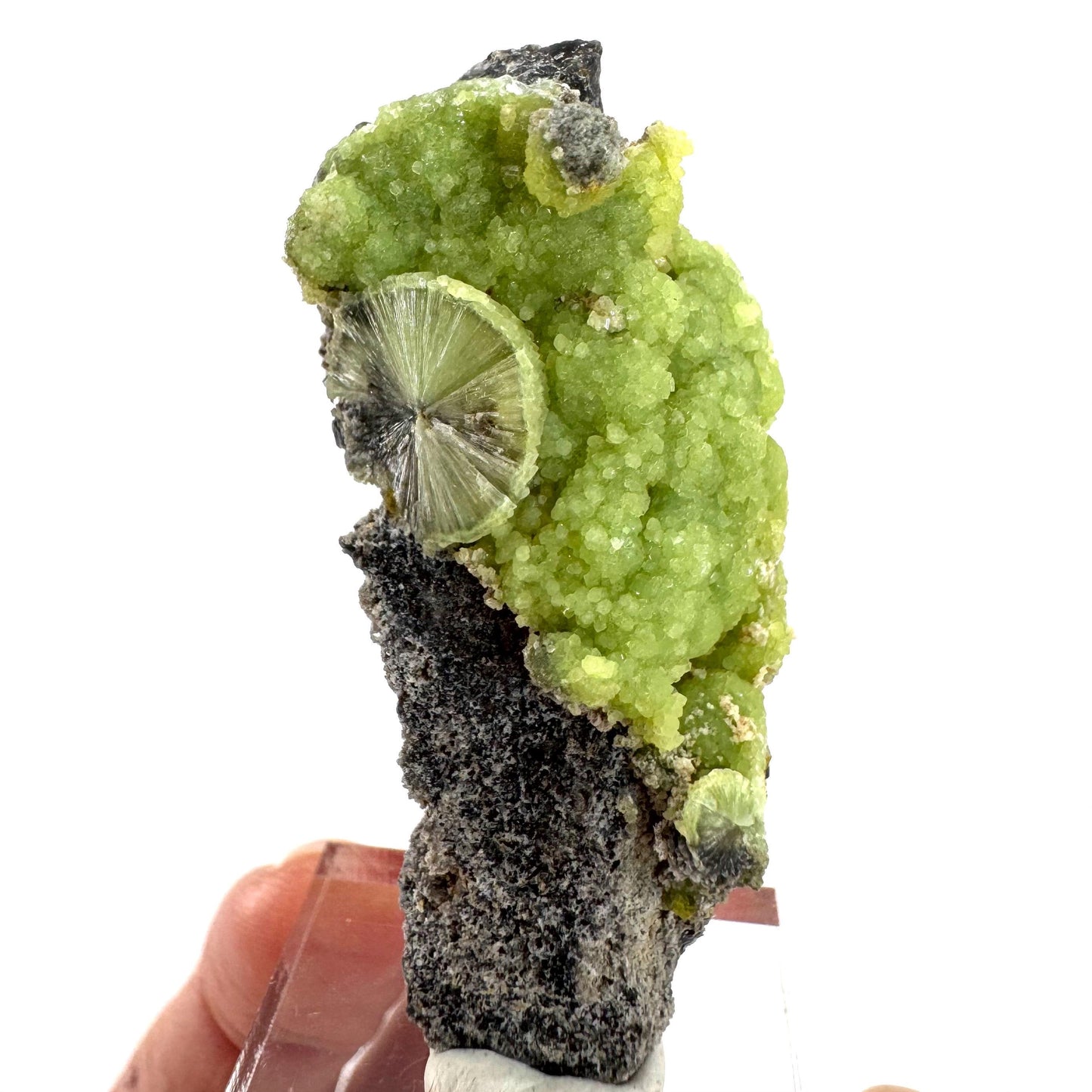 Wavellite (Arkansas, USA) | green crystal cluster, mineral specimen