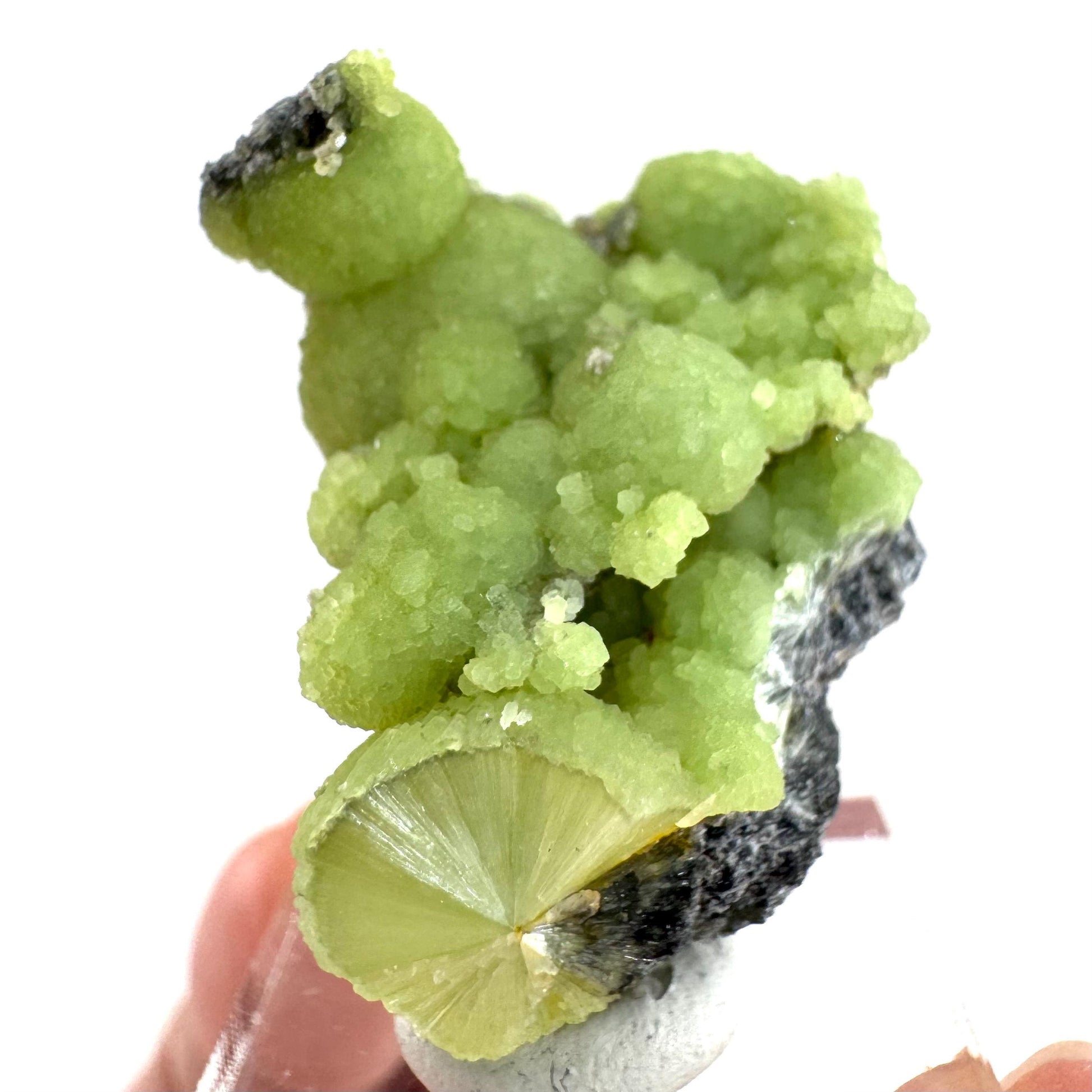 Wavellite (Arkansas, USA) | green crystal cluster, mineral specimen