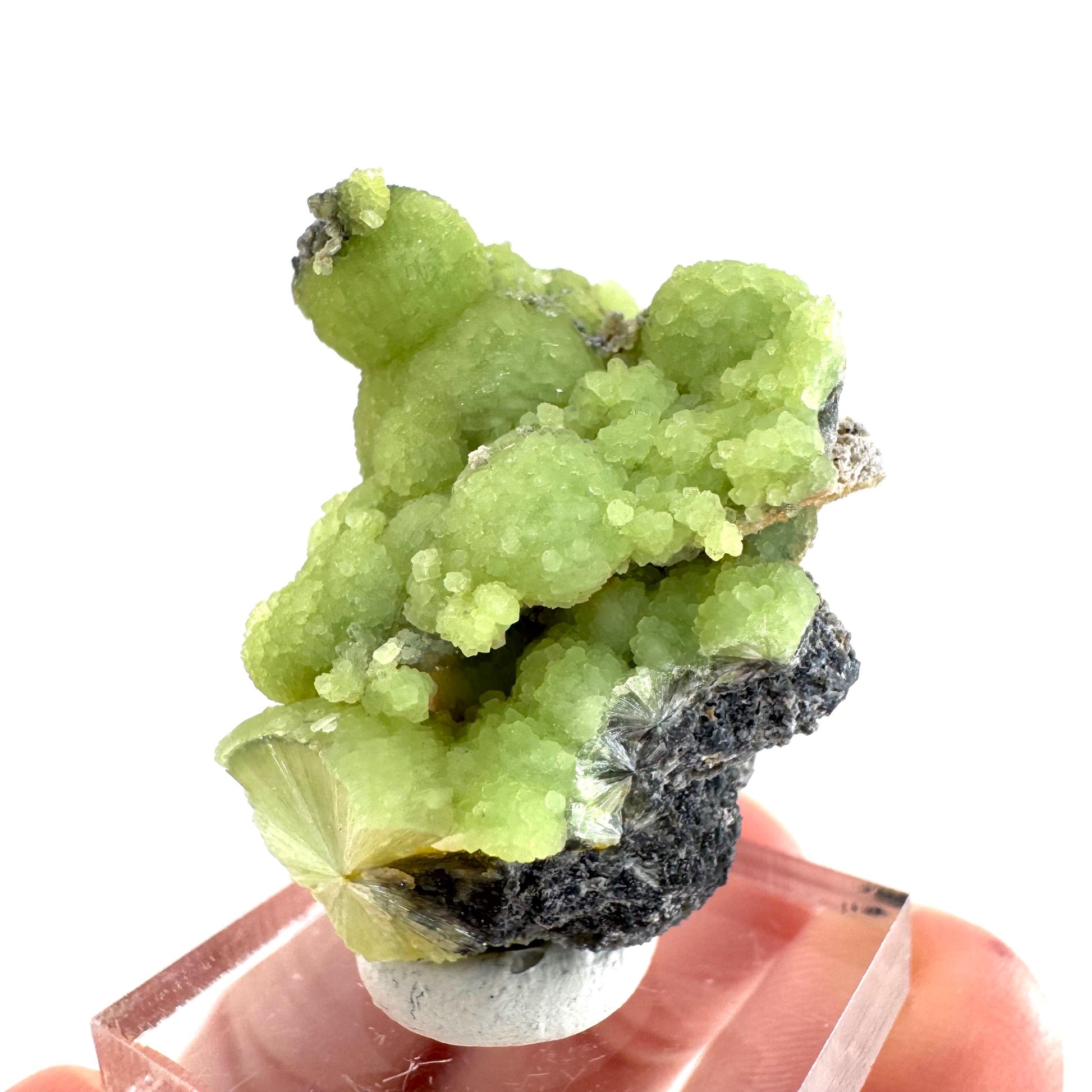 Wavellite (Arkansas, USA) | green crystal cluster, mineral specimen
