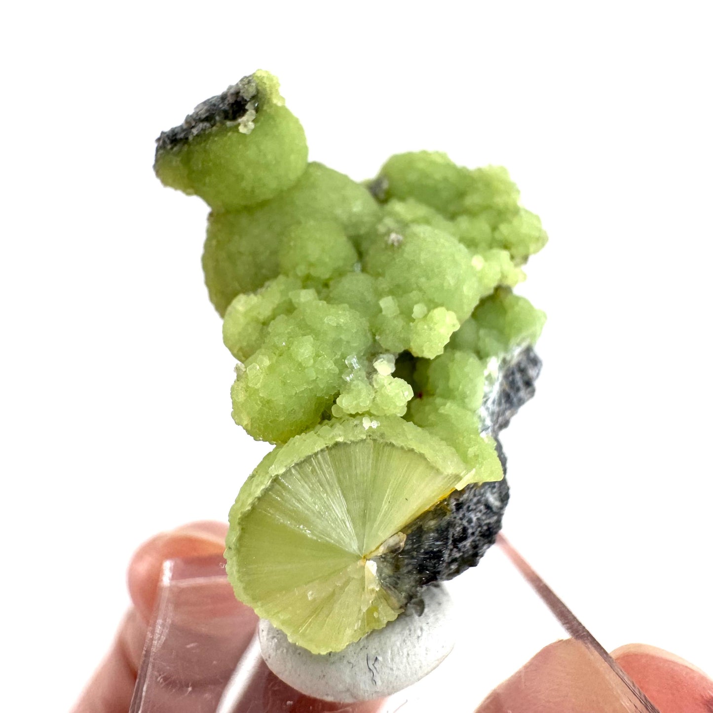 Wavellite (Arkansas, USA) | green crystal cluster, mineral specimen