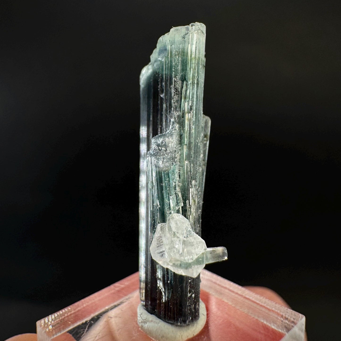 Indicolite Tourmaline Crystal | Natural Blue-Green Mineral Specimen from Pakistan