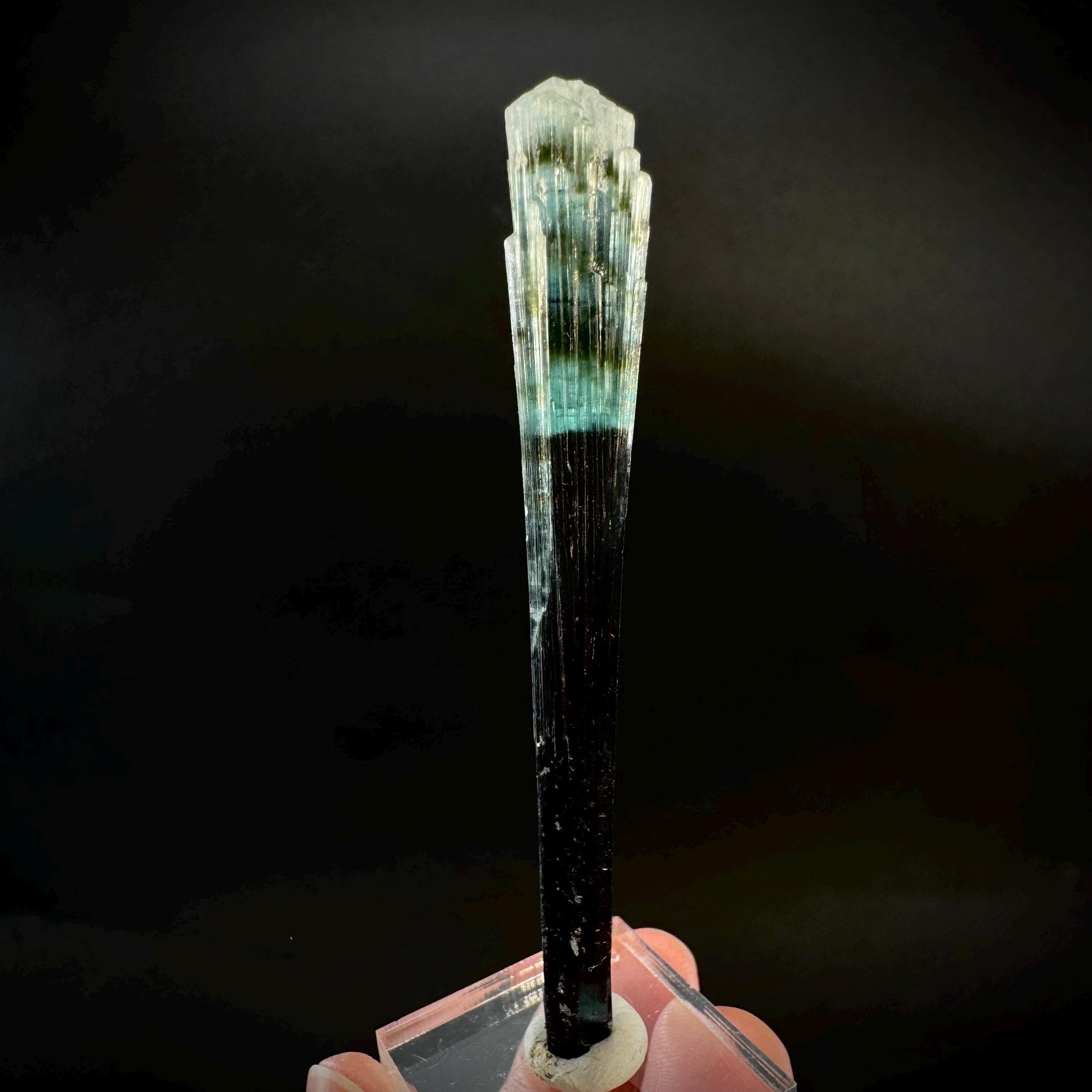 Indicolite Tourmaline Crystal | Natural Blue-Green Mineral Specimen from Pakistan