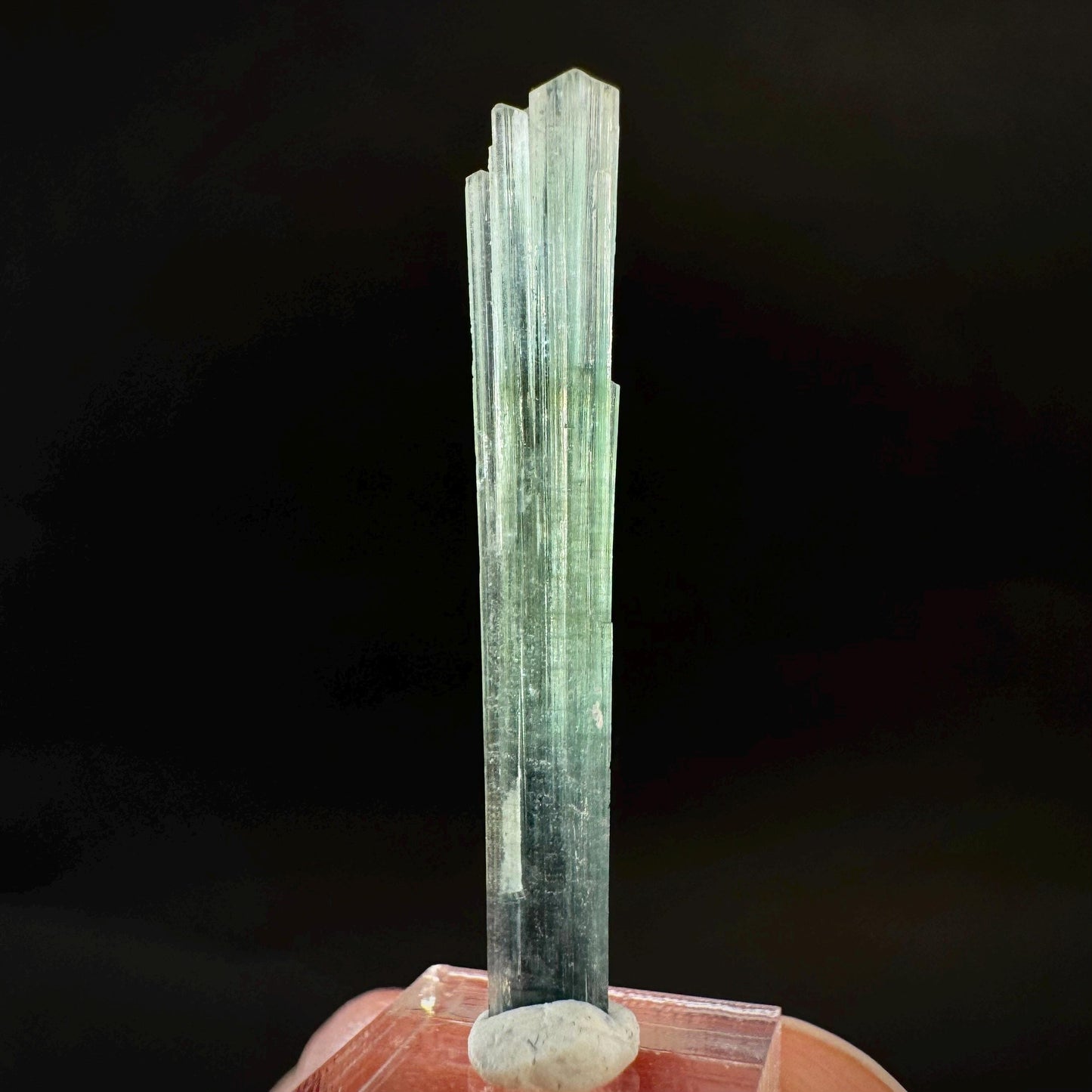 Indicolite Tourmaline Crystal | Natural Blue-Green Mineral Specimen from Pakistan
