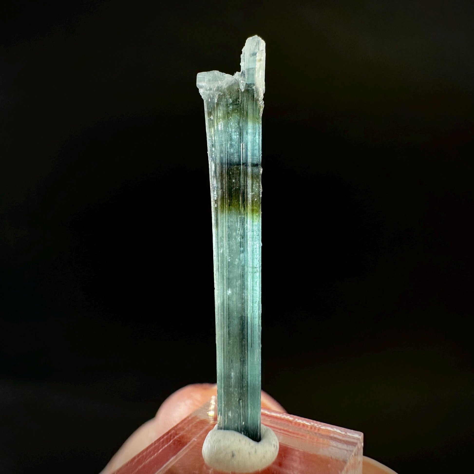 Indicolite Tourmaline Crystal | Natural Blue-Green Mineral Specimen from Pakistan