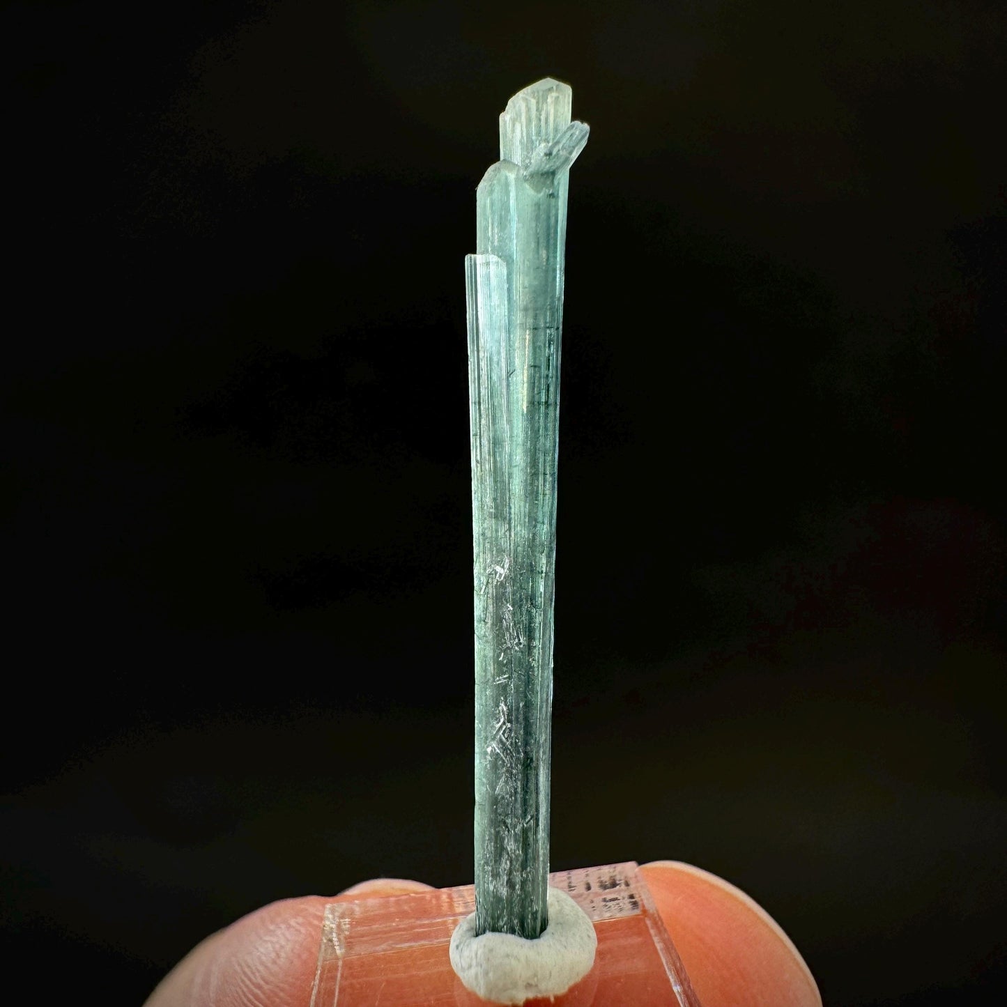 Indicolite Tourmaline Crystal | Natural Blue-Green Mineral Specimen from Pakistan