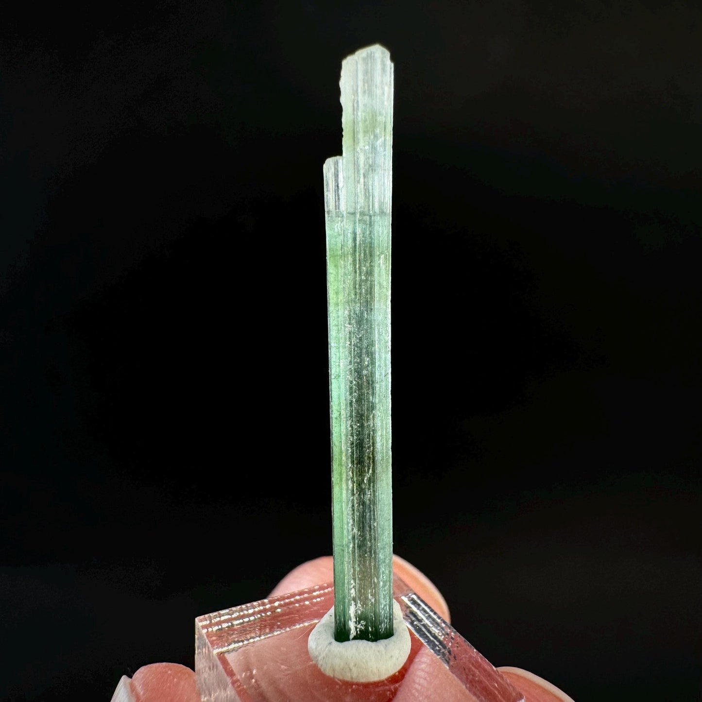Indicolite Tourmaline Crystal | Natural Blue-Green Mineral Specimen from Pakistan