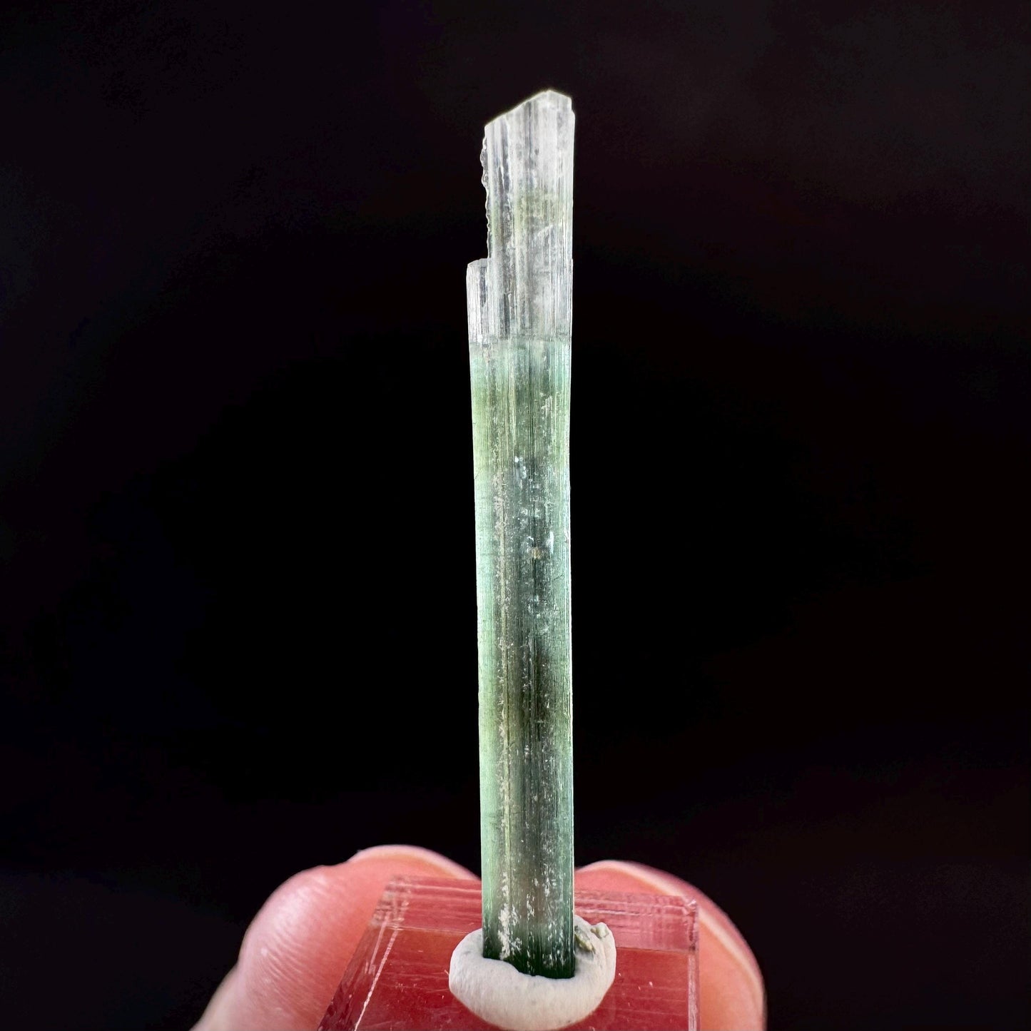 Indicolite Tourmaline Crystal | Natural Blue-Green Mineral Specimen from Pakistan
