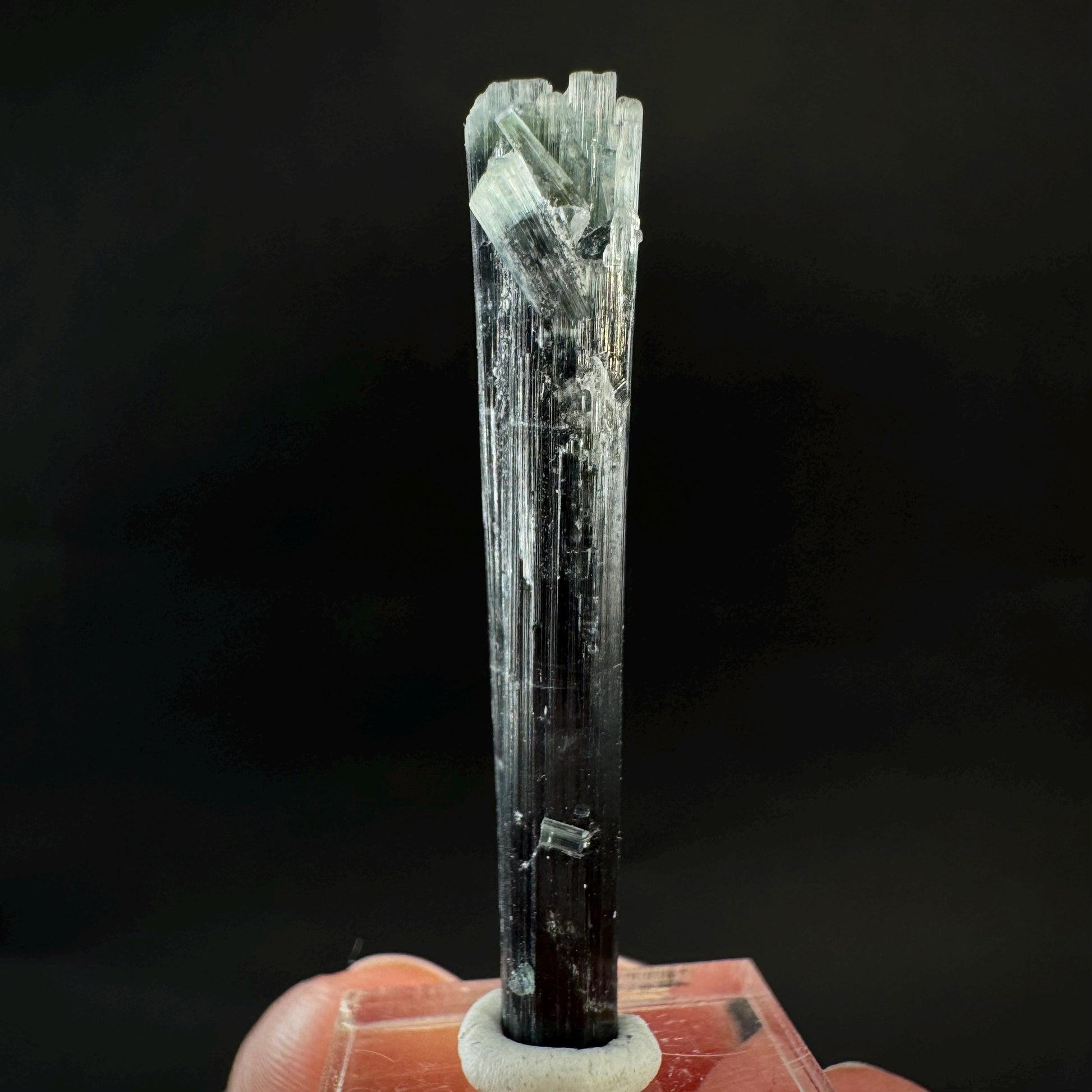 Indicolite Tourmaline Crystal | Natural Blue-Green Mineral Specimen from Pakistan