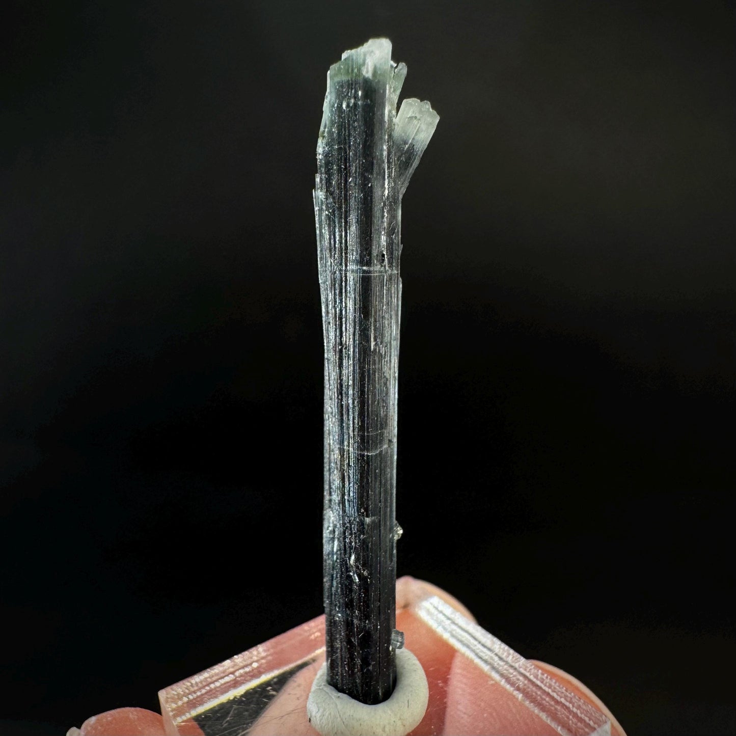 Indicolite Tourmaline Crystal | Natural Blue-Green Mineral Specimen from Pakistan