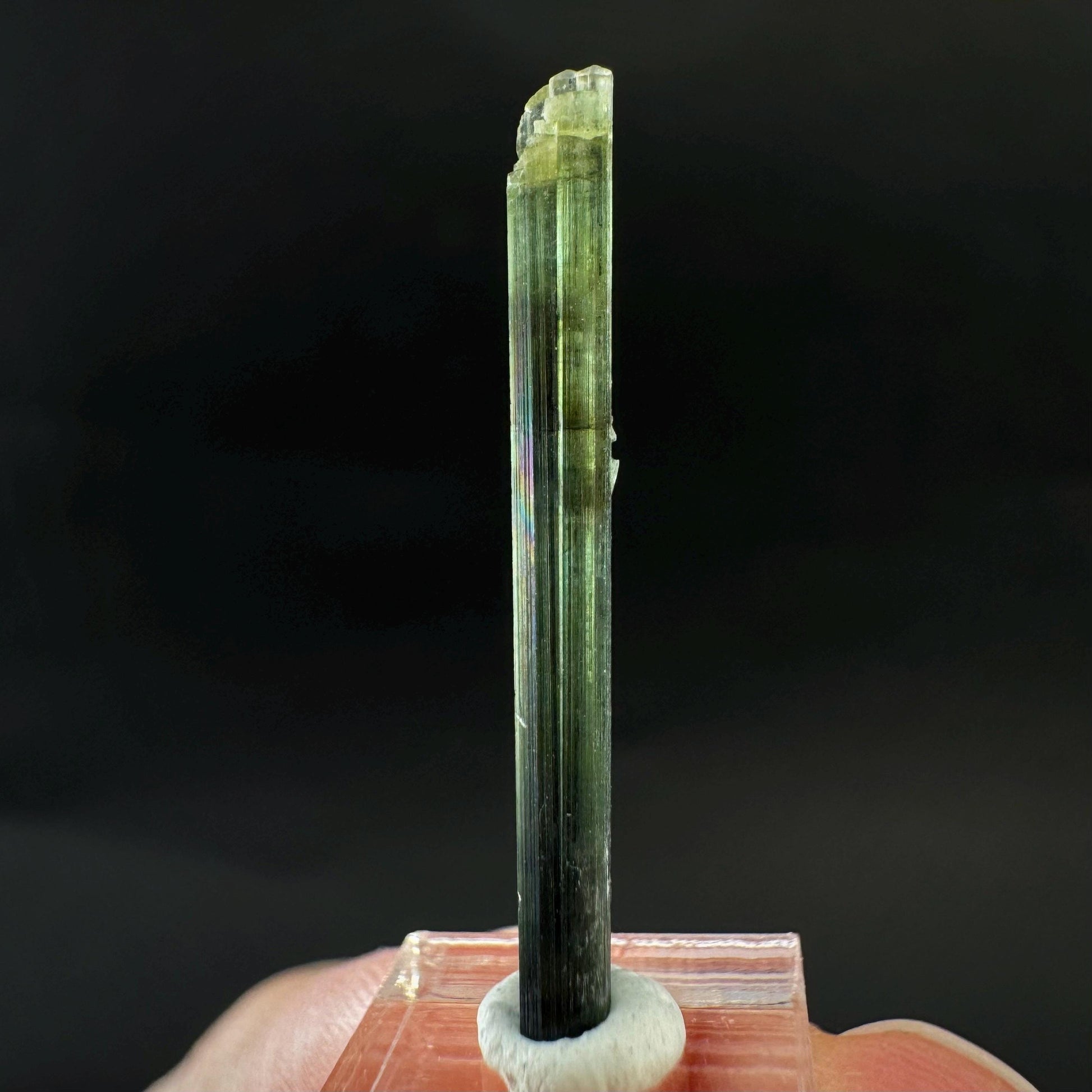 Indicolite Tourmaline Crystal | Natural Blue-Green Mineral Specimen from Pakistan
