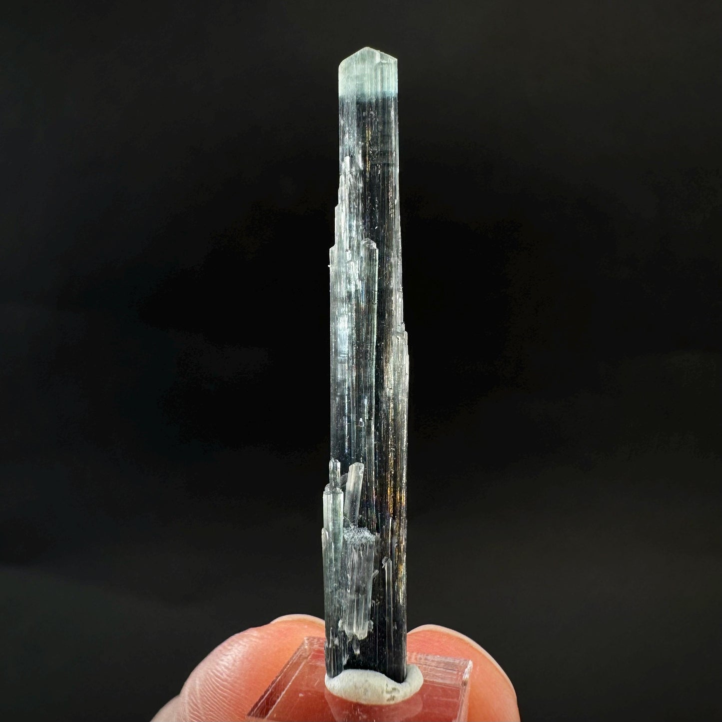 Indicolite Tourmaline Crystal | Natural Blue-Green Mineral Specimen from Pakistan