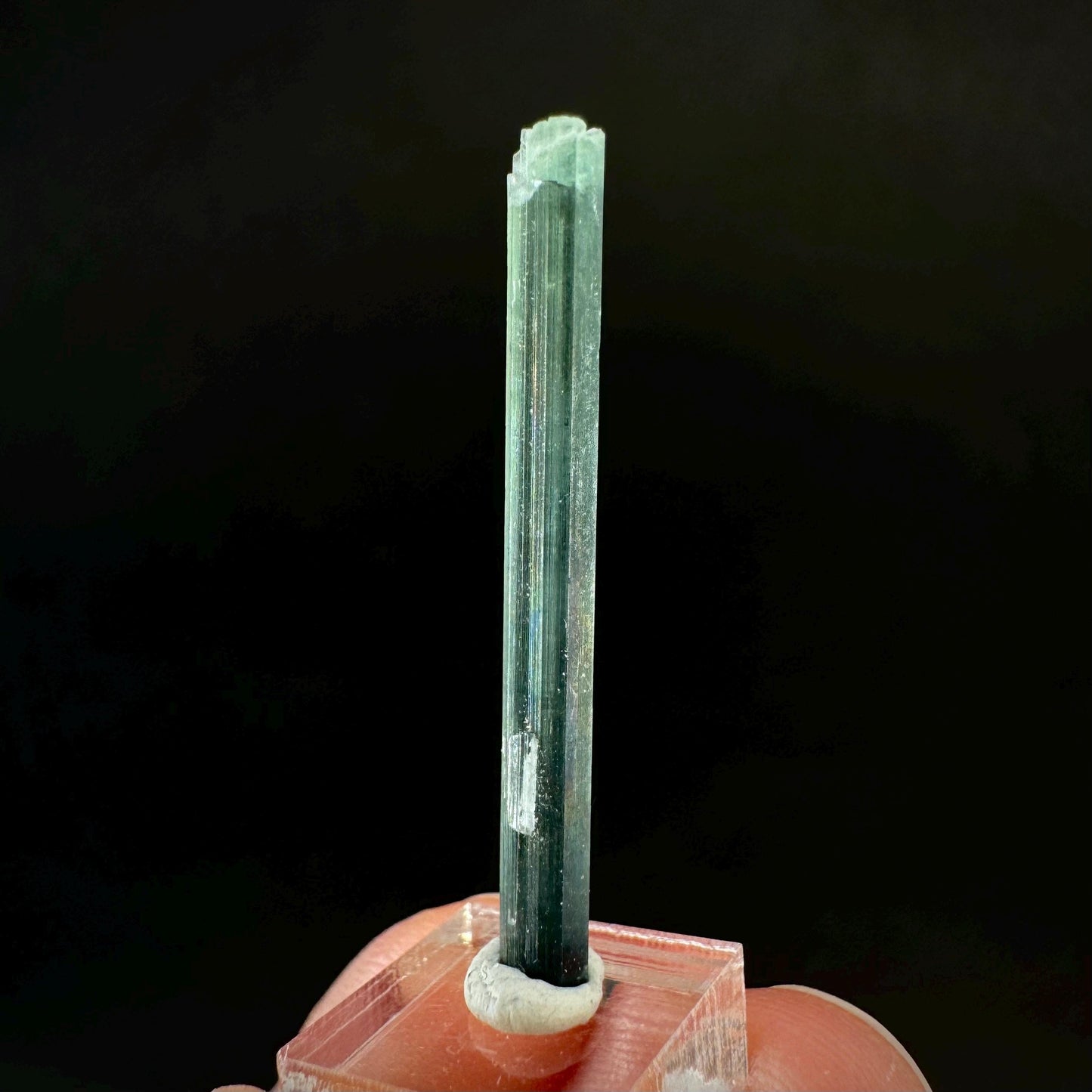 Indicolite Tourmaline Crystal | Natural Blue-Green Mineral Specimen from Pakistan