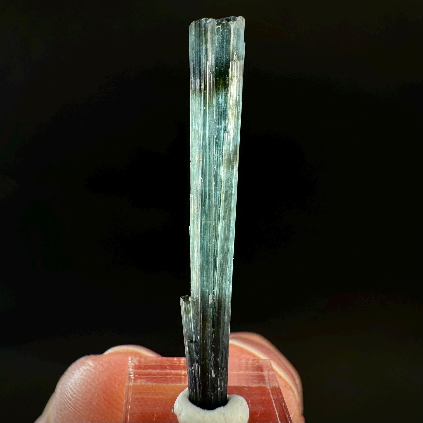 Indicolite Tourmaline Crystal | Natural Blue-Green Mineral Specimen from Pakistan