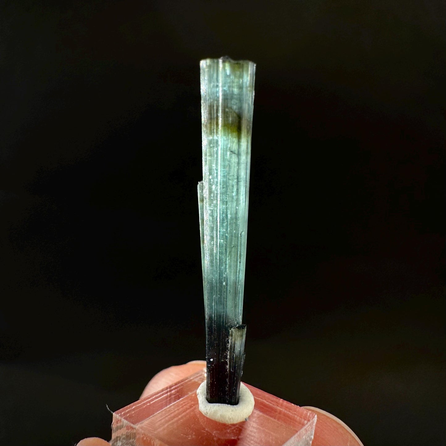 Indicolite Tourmaline Crystal | Natural Blue-Green Mineral Specimen from Pakistan