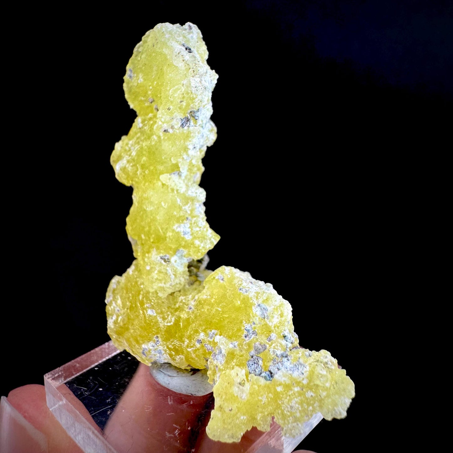 Brucite | Yellow Crystal, Lustrous Mineral Specimen From Pakistan