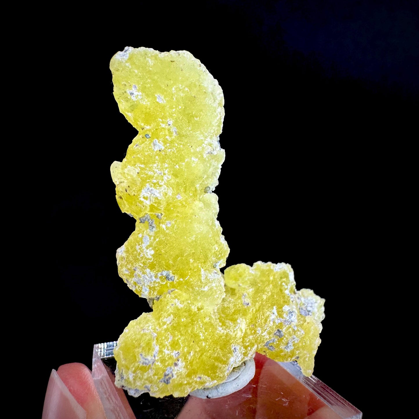 Brucite | Yellow Crystal, Lustrous Mineral Specimen From Pakistan