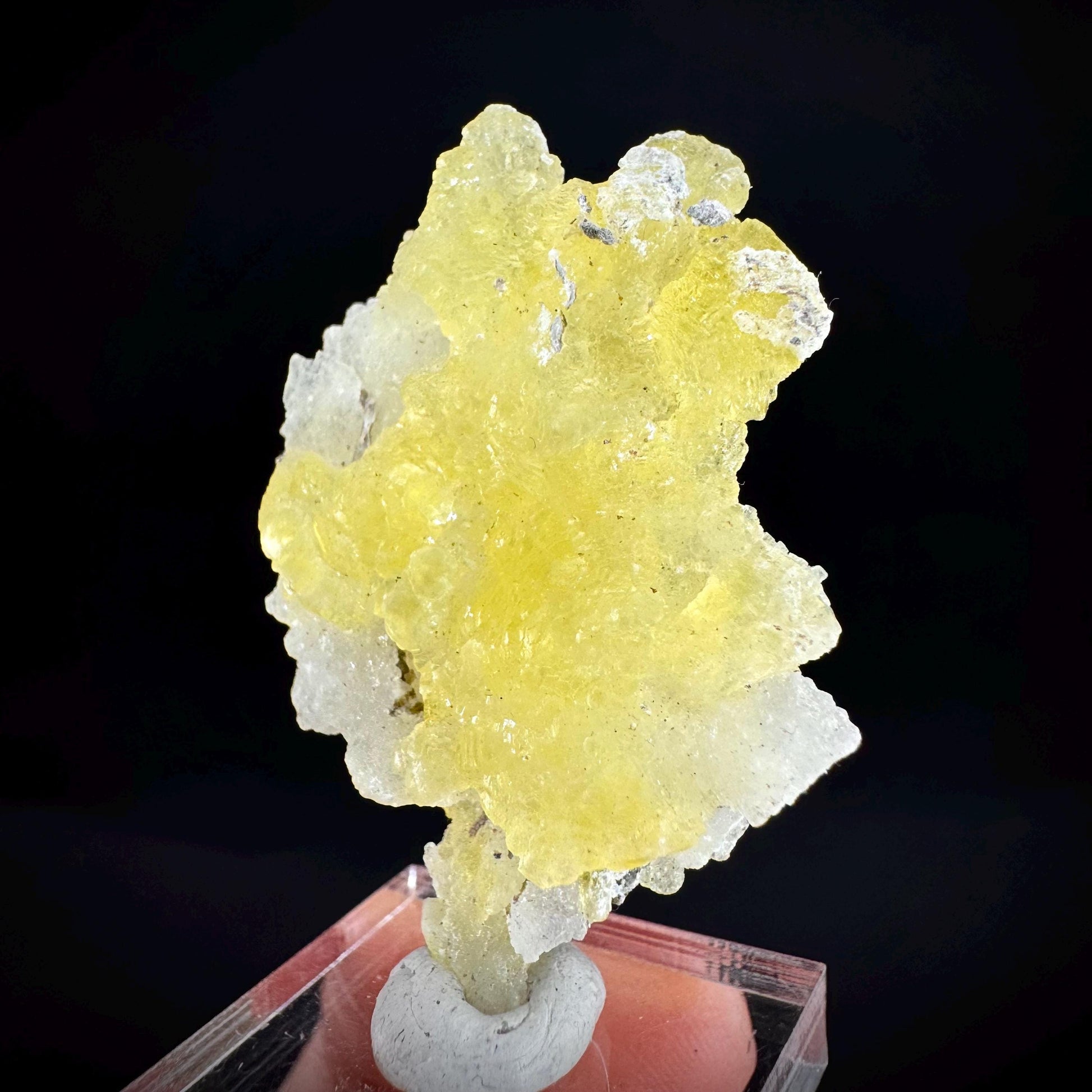 Brucite | Yellow Crystal, Lustrous Mineral Specimen From Pakistan