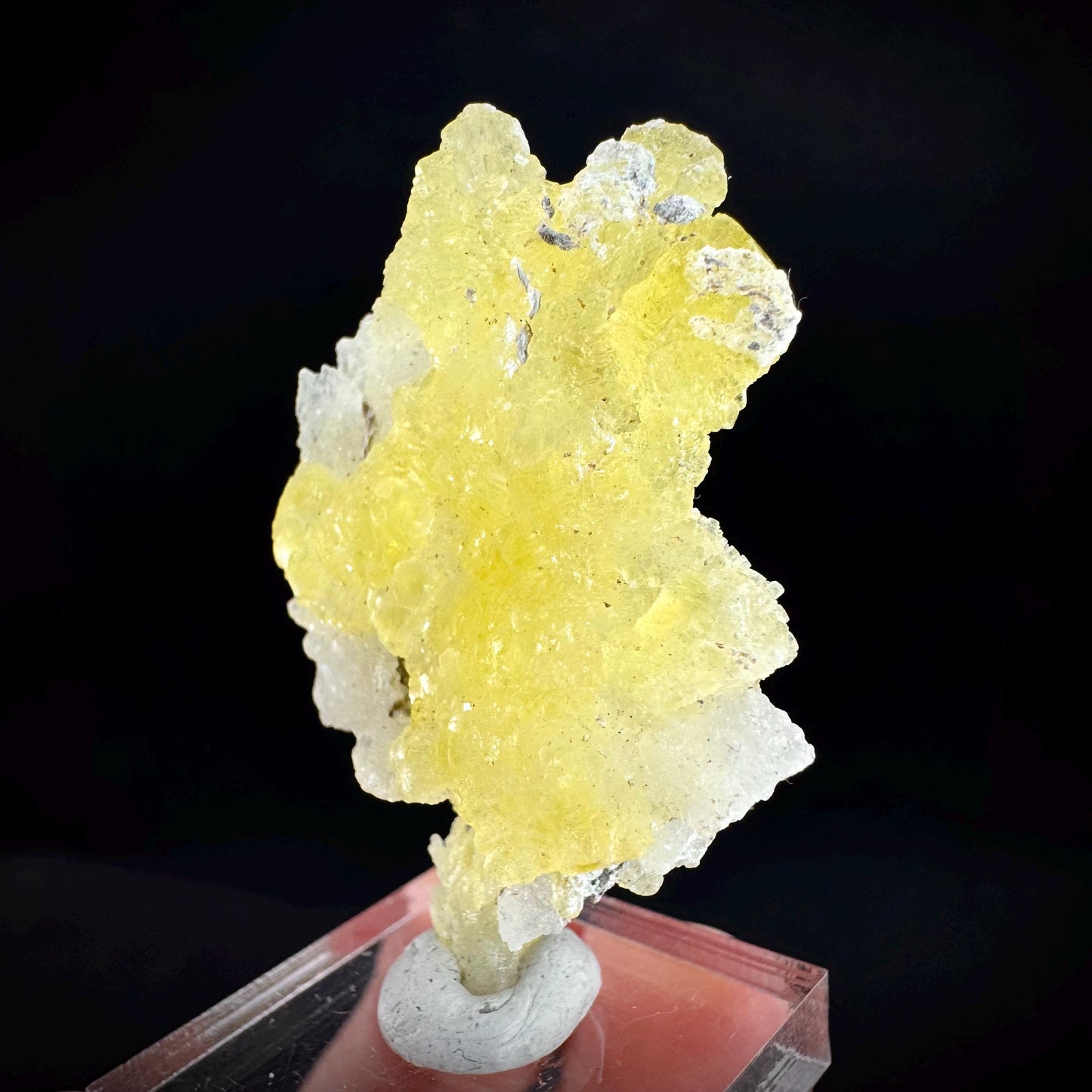 Brucite | Yellow Crystal, Lustrous Mineral Specimen From Pakistan