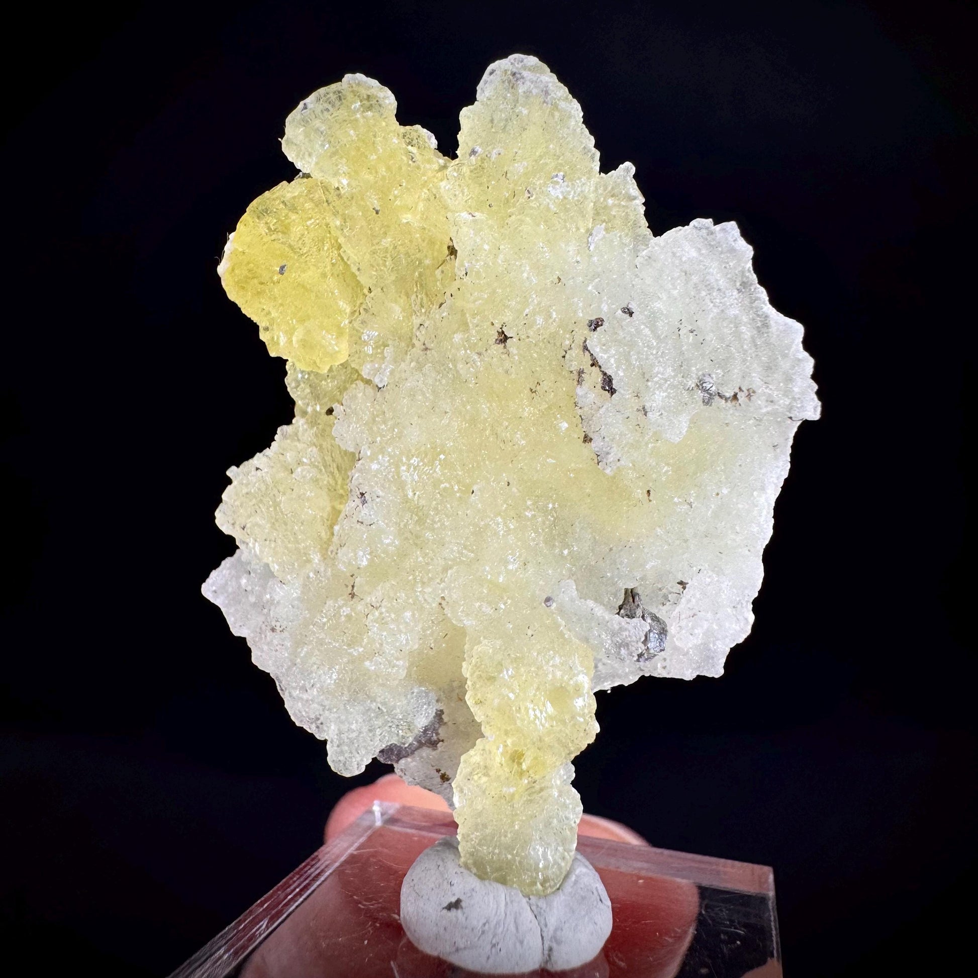 Brucite | Yellow Crystal, Lustrous Mineral Specimen From Pakistan