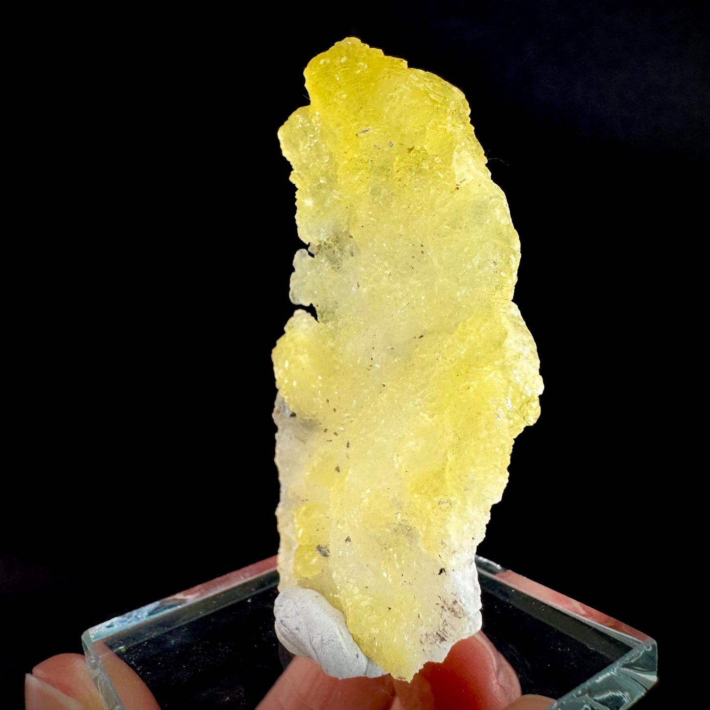 Brucite | Yellow Crystal, Lustrous Mineral Specimen From Pakistan