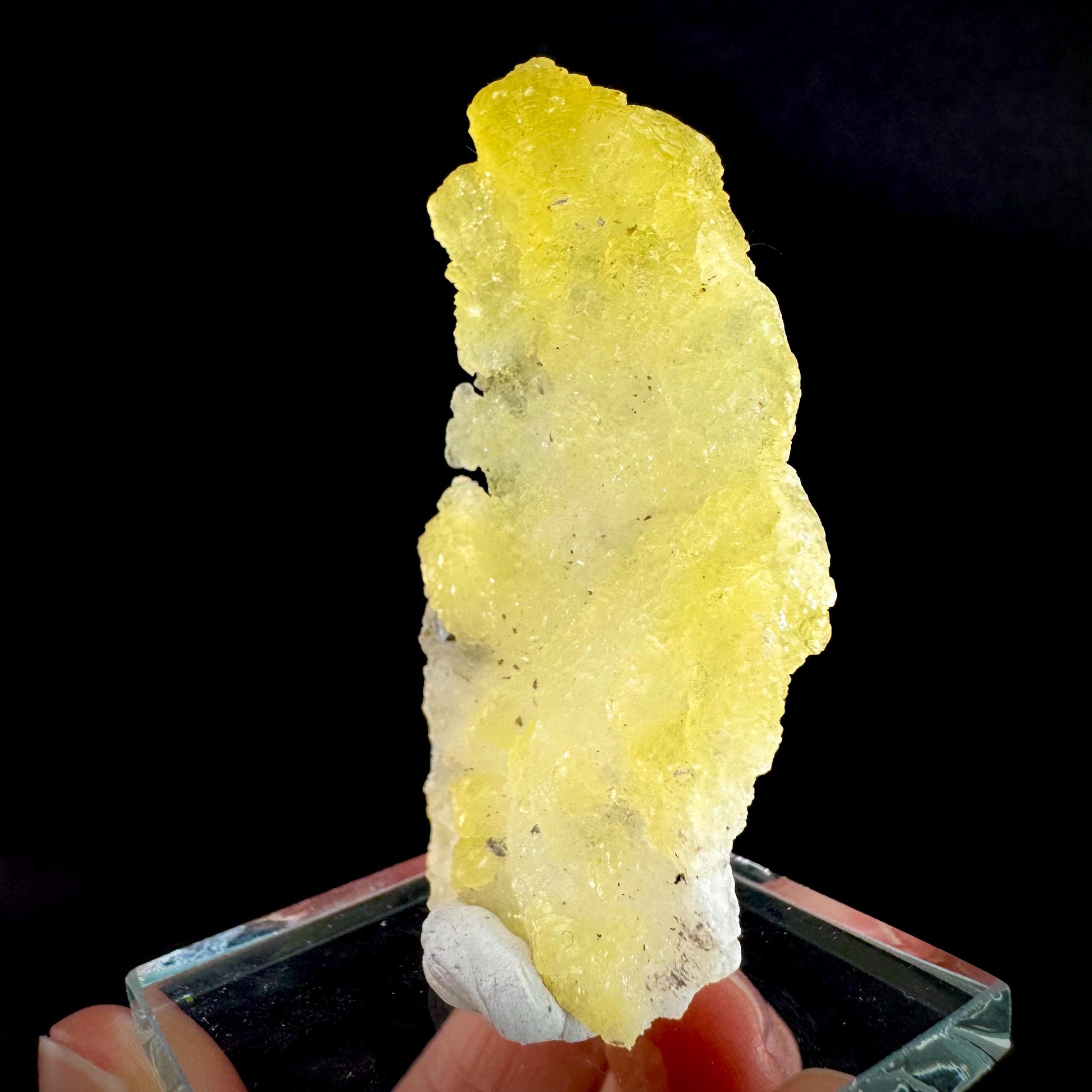 Brucite | Yellow Crystal, Lustrous Mineral Specimen From Pakistan
