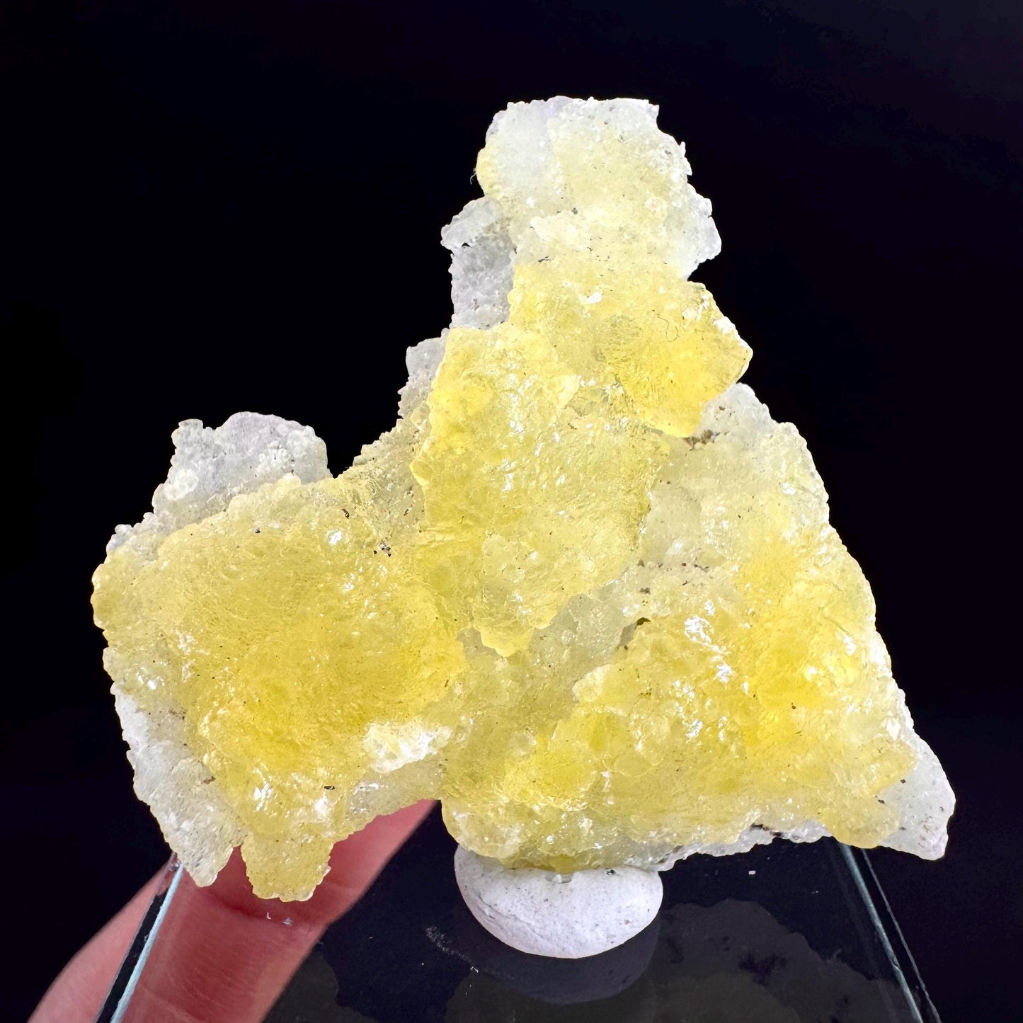 Brucite | Yellow Crystal, Lustrous Mineral Specimen From Pakistan