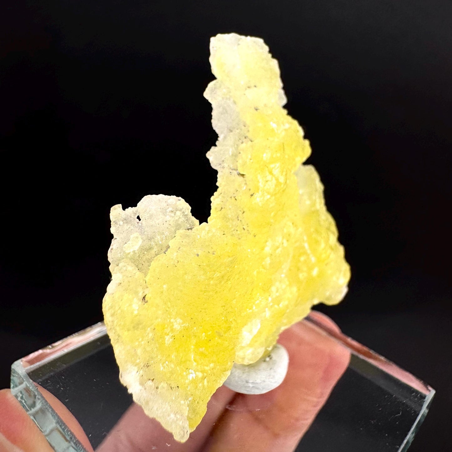 Brucite | Yellow Crystal, Lustrous Mineral Specimen From Pakistan