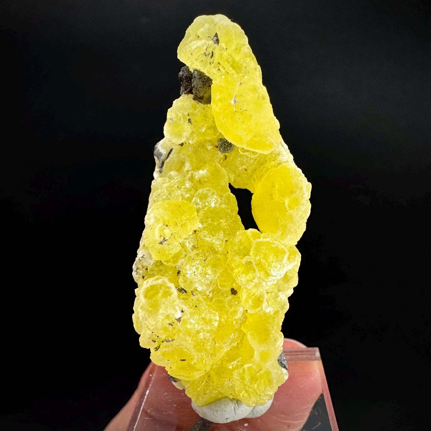 Brucite | Yellow Crystal, Lustrous Mineral Specimen From Pakistan