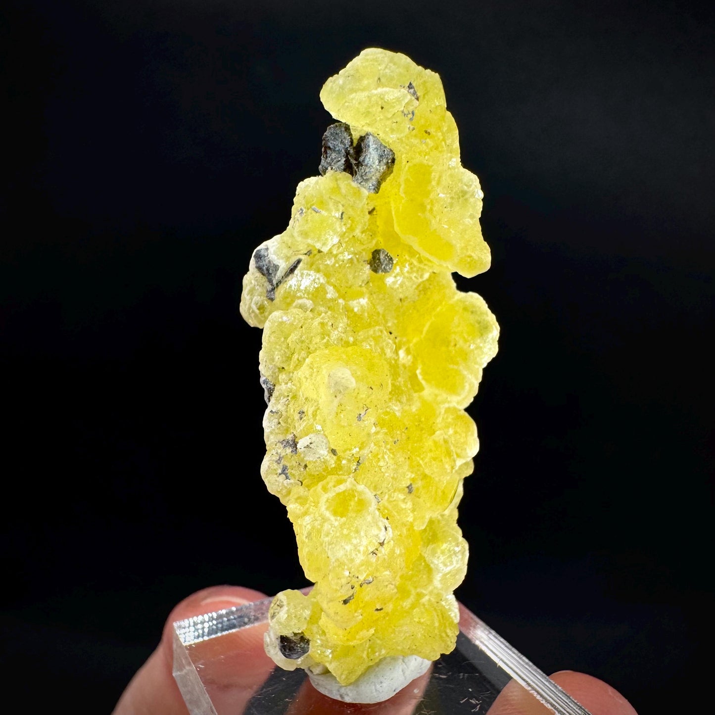 Brucite | Yellow Crystal, Lustrous Mineral Specimen From Pakistan