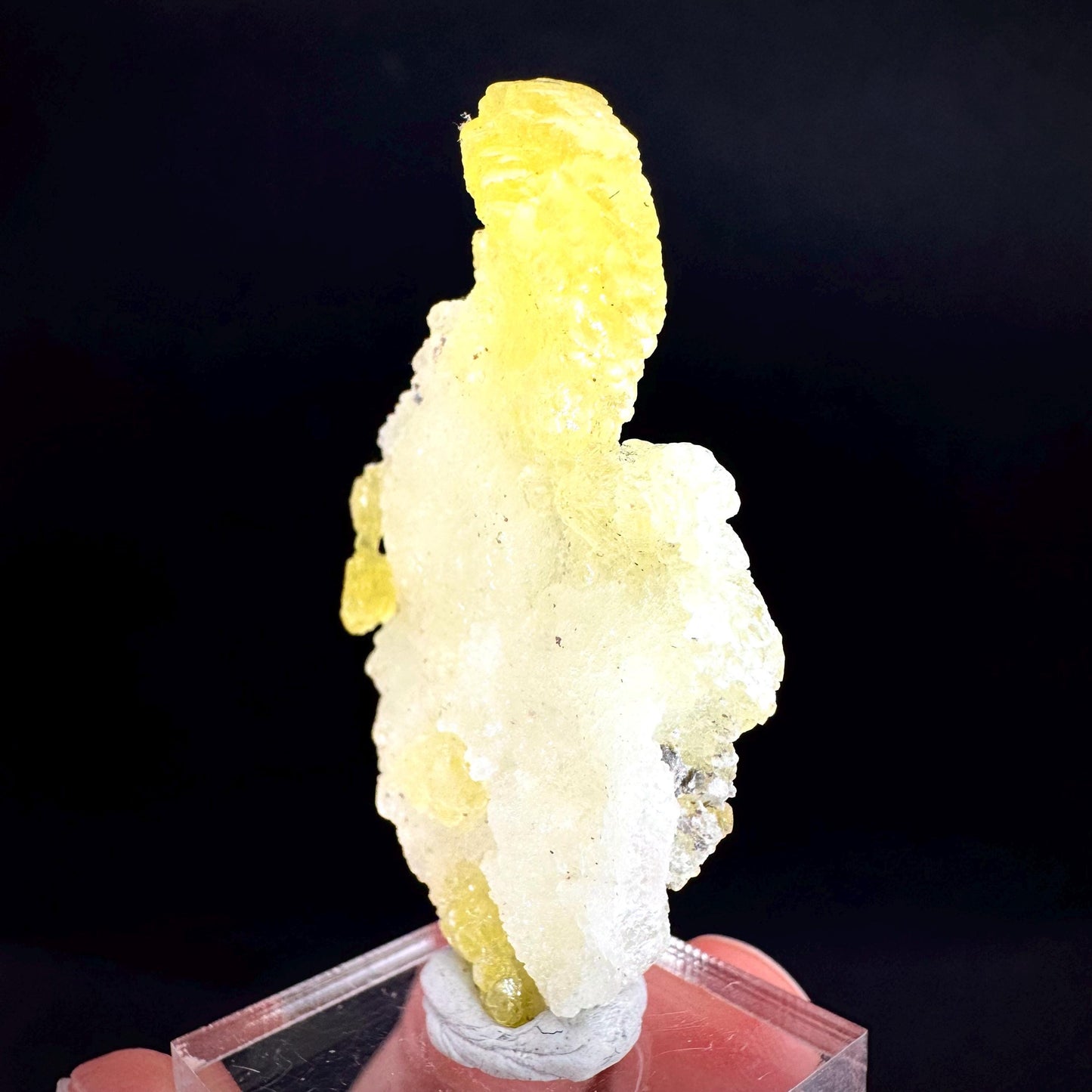 Brucite | Yellow Crystal, Lustrous Mineral Specimen From Pakistan