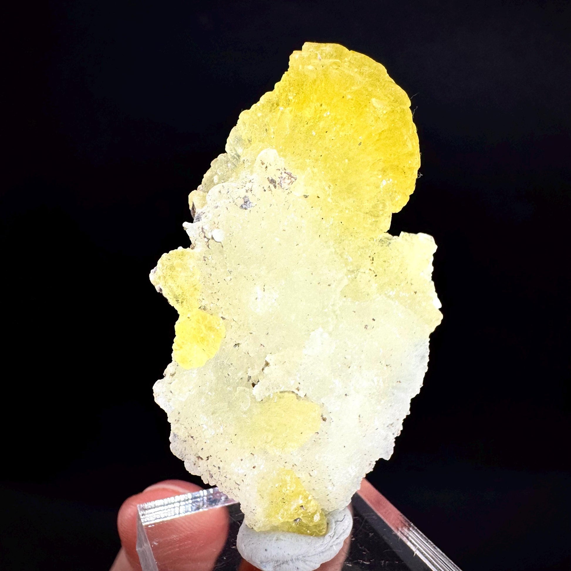 Brucite | Yellow Crystal, Lustrous Mineral Specimen From Pakistan