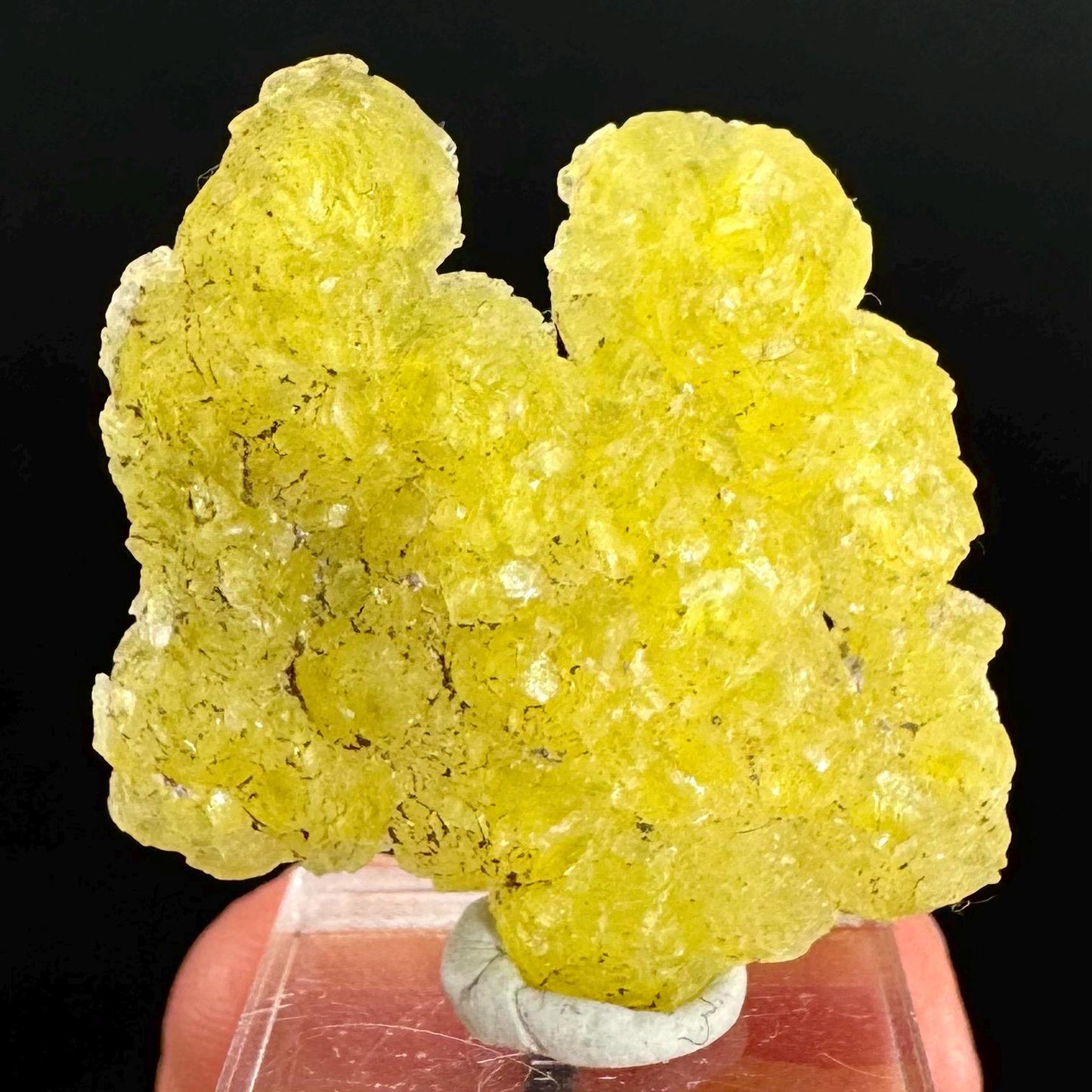 Brucite | Yellow Crystal, Lustrous Mineral Specimen From Pakistan