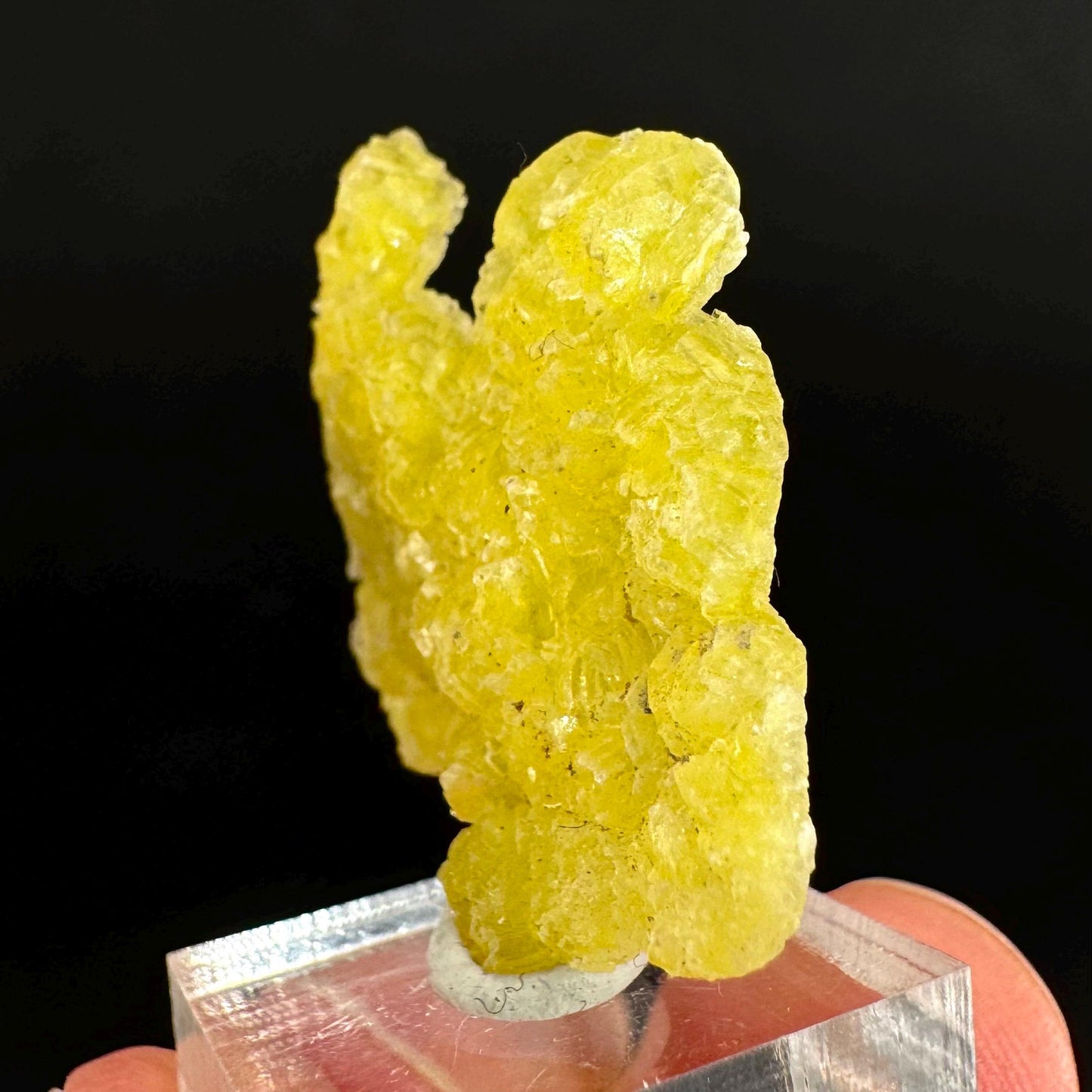Brucite | Yellow Crystal, Lustrous Mineral Specimen From Pakistan