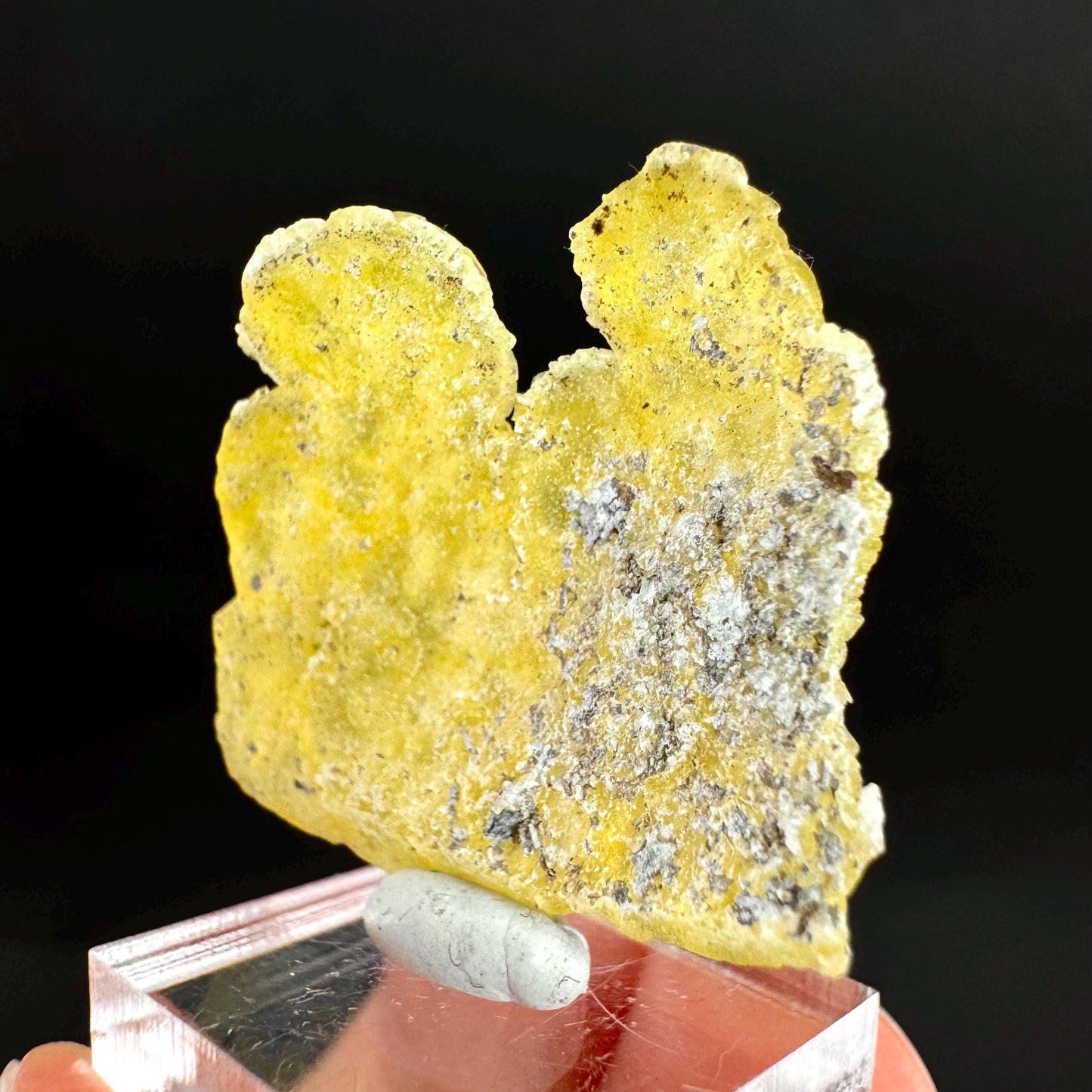 Brucite | Yellow Crystal, Lustrous Mineral Specimen From Pakistan
