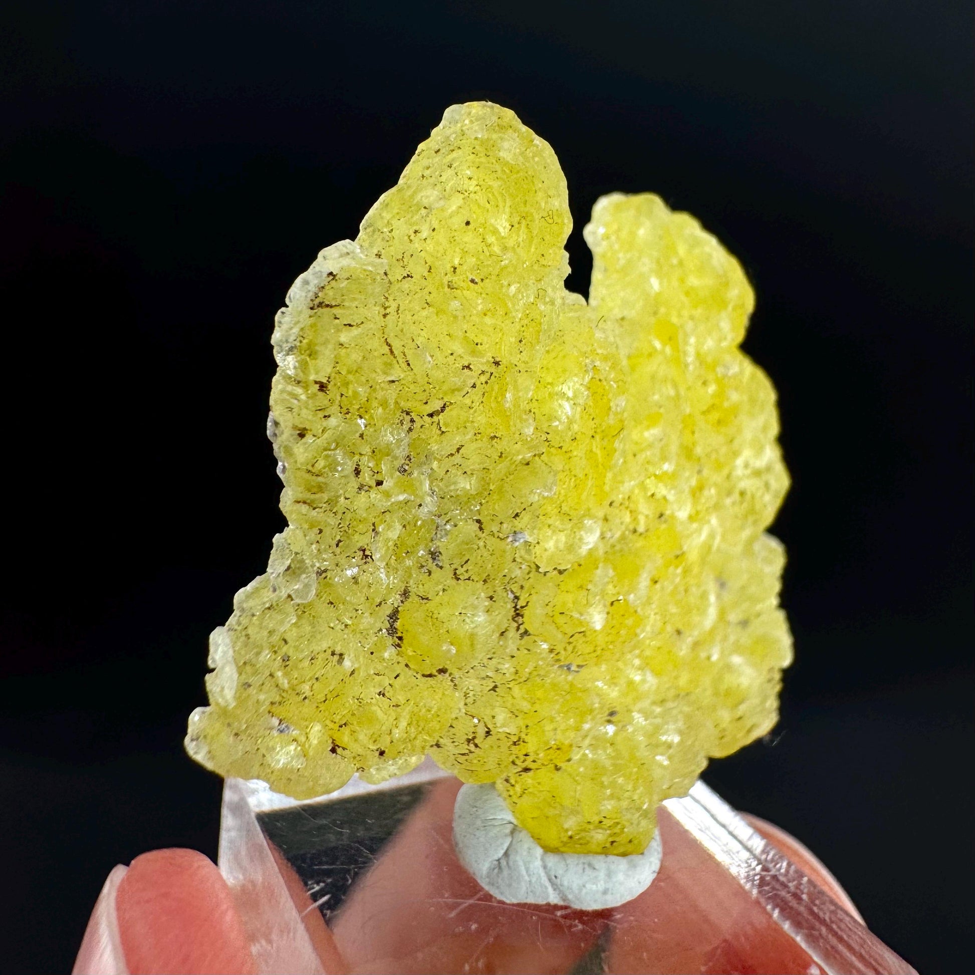 Brucite | Yellow Crystal, Lustrous Mineral Specimen From Pakistan