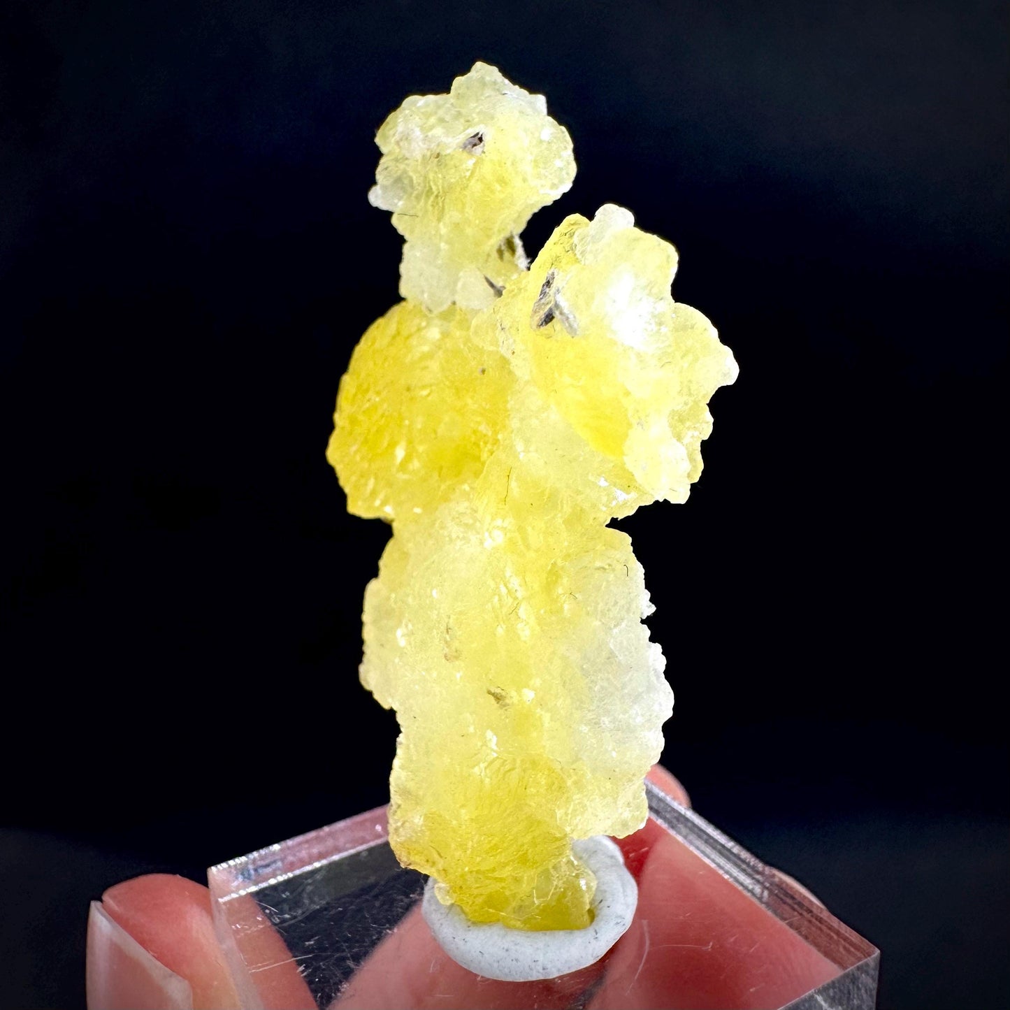 Brucite | Yellow Crystal, Lustrous Mineral Specimen From Pakistan