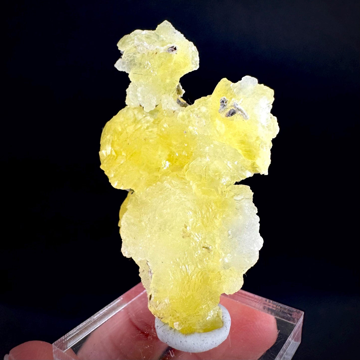 Brucite | Yellow Crystal, Lustrous Mineral Specimen From Pakistan