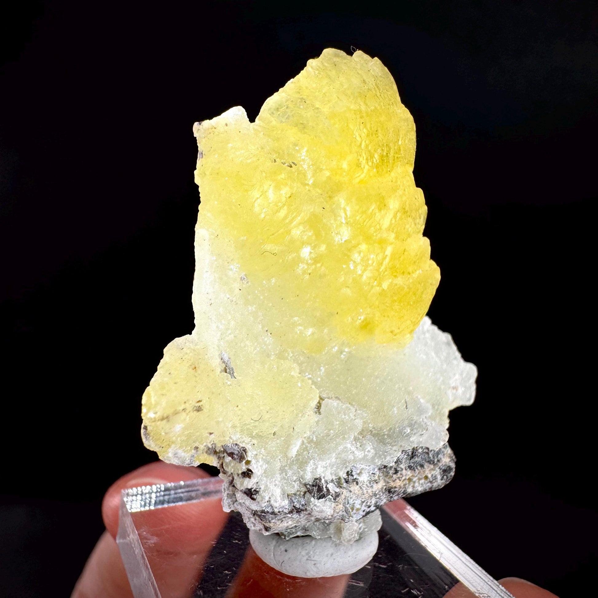 Brucite | Yellow Crystal, Lustrous Mineral Specimen From Pakistan