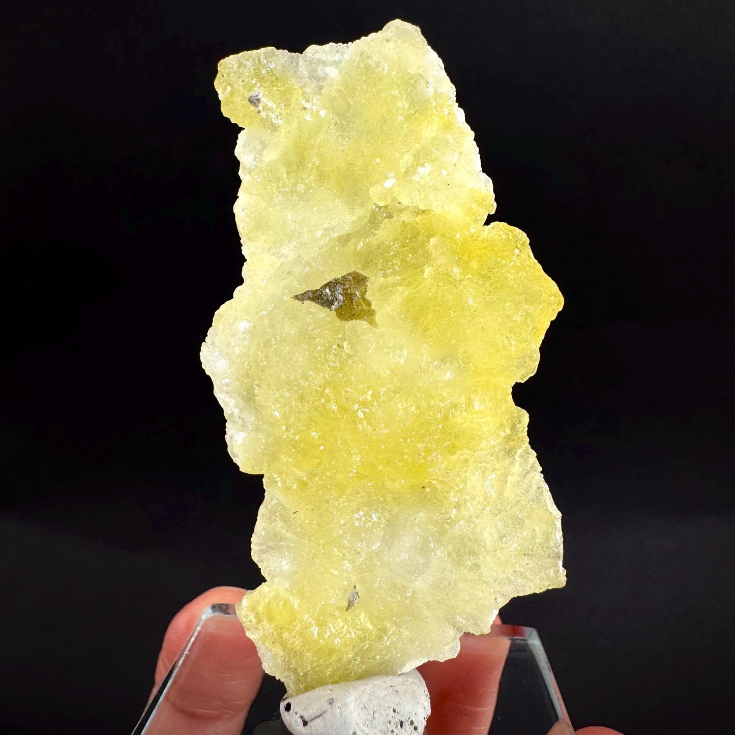 Brucite | Yellow Crystal, Lustrous Mineral Specimen From Pakistan