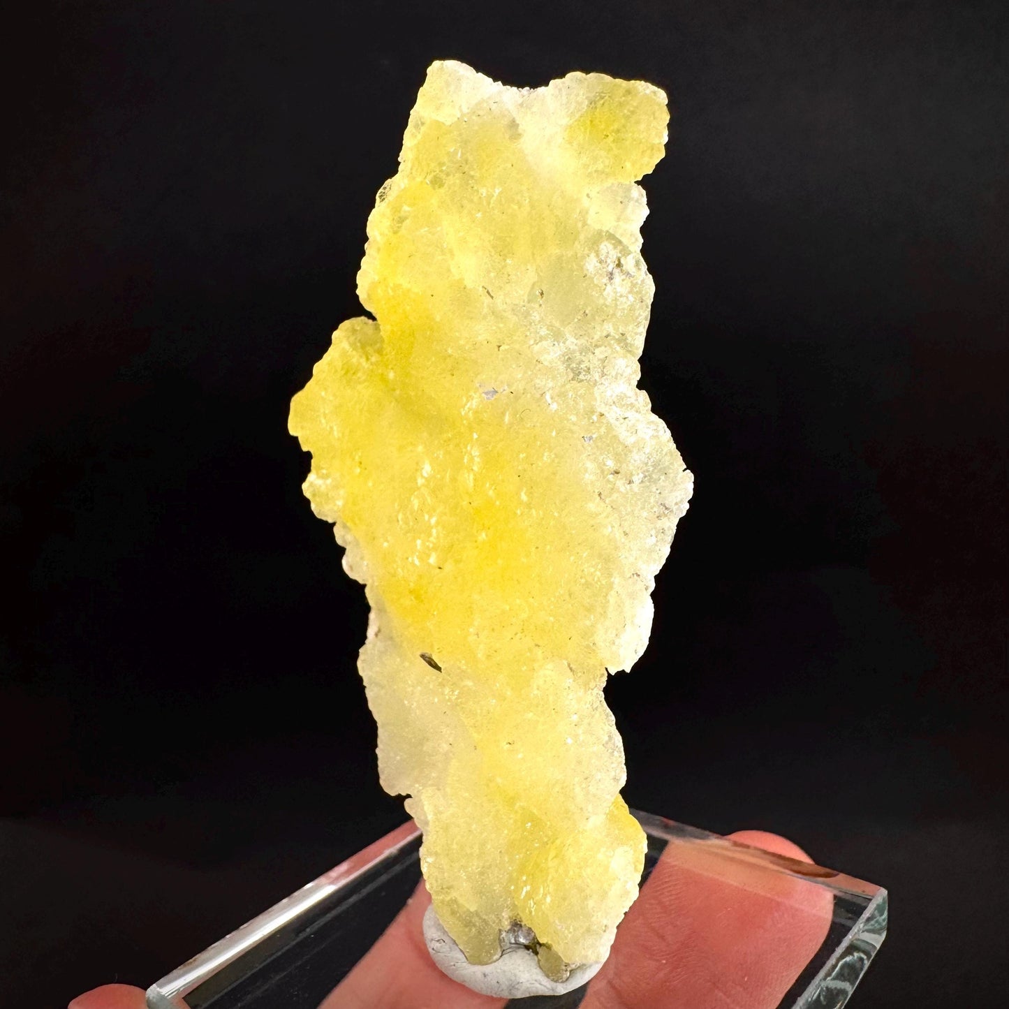 Brucite | Yellow Crystal, Lustrous Mineral Specimen From Pakistan