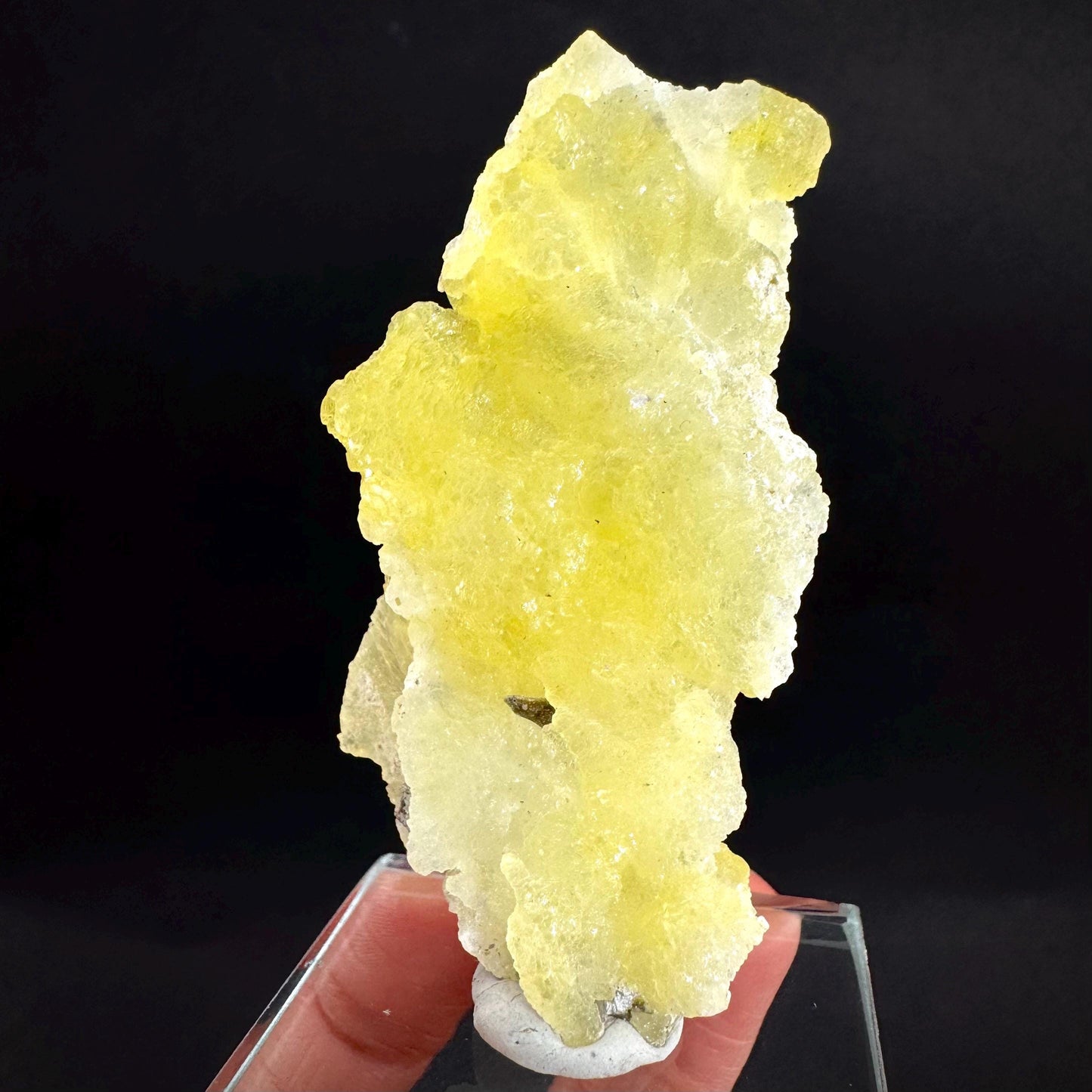 Brucite | Yellow Crystal, Lustrous Mineral Specimen From Pakistan