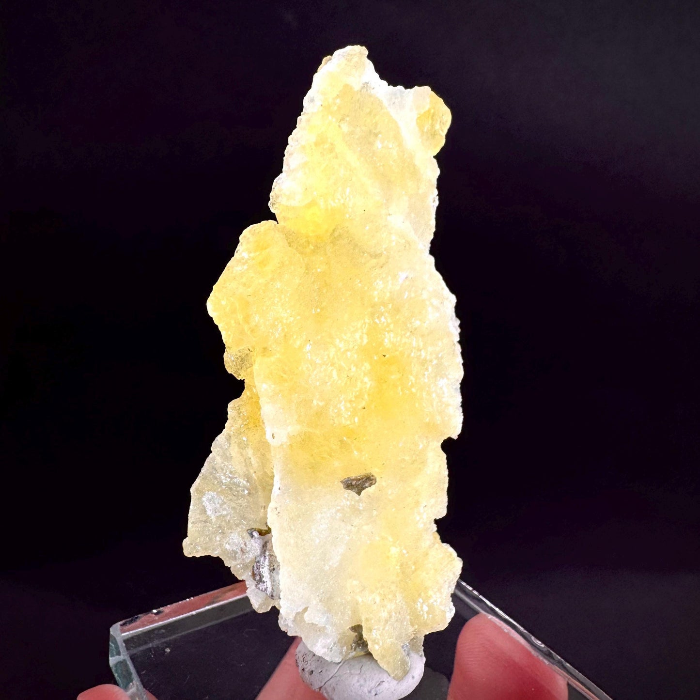 Brucite | Yellow Crystal, Lustrous Mineral Specimen From Pakistan