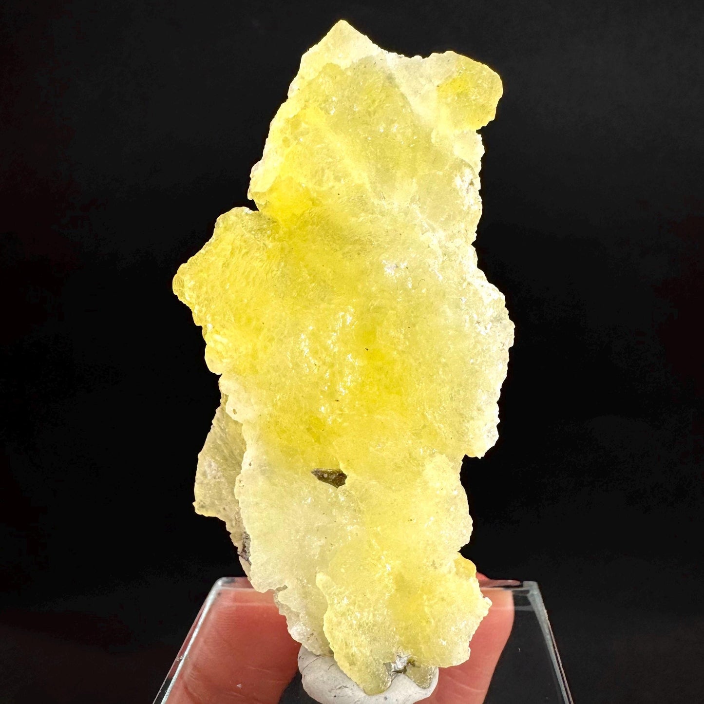 Brucite | Yellow Crystal, Lustrous Mineral Specimen From Pakistan