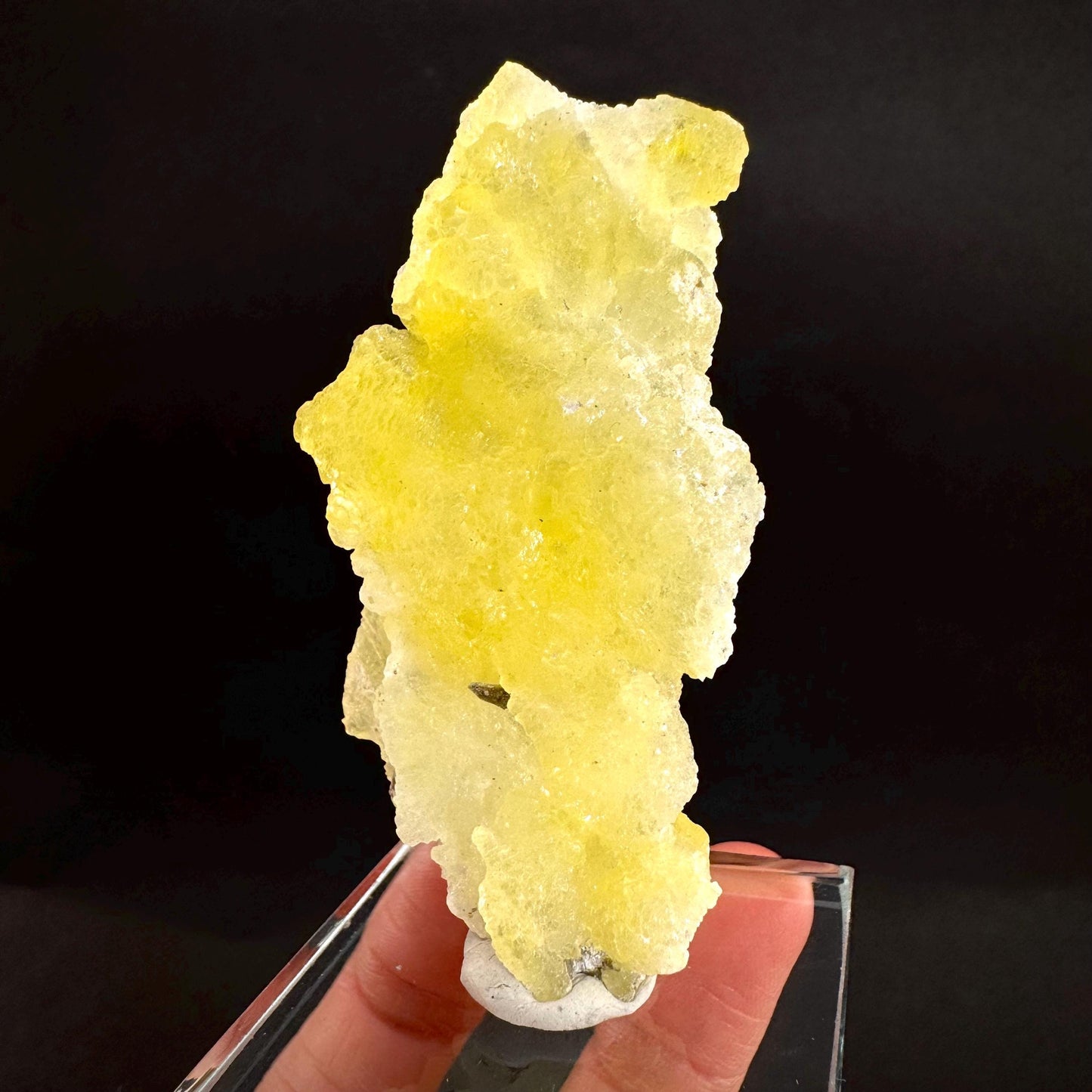 Brucite | Yellow Crystal, Lustrous Mineral Specimen From Pakistan