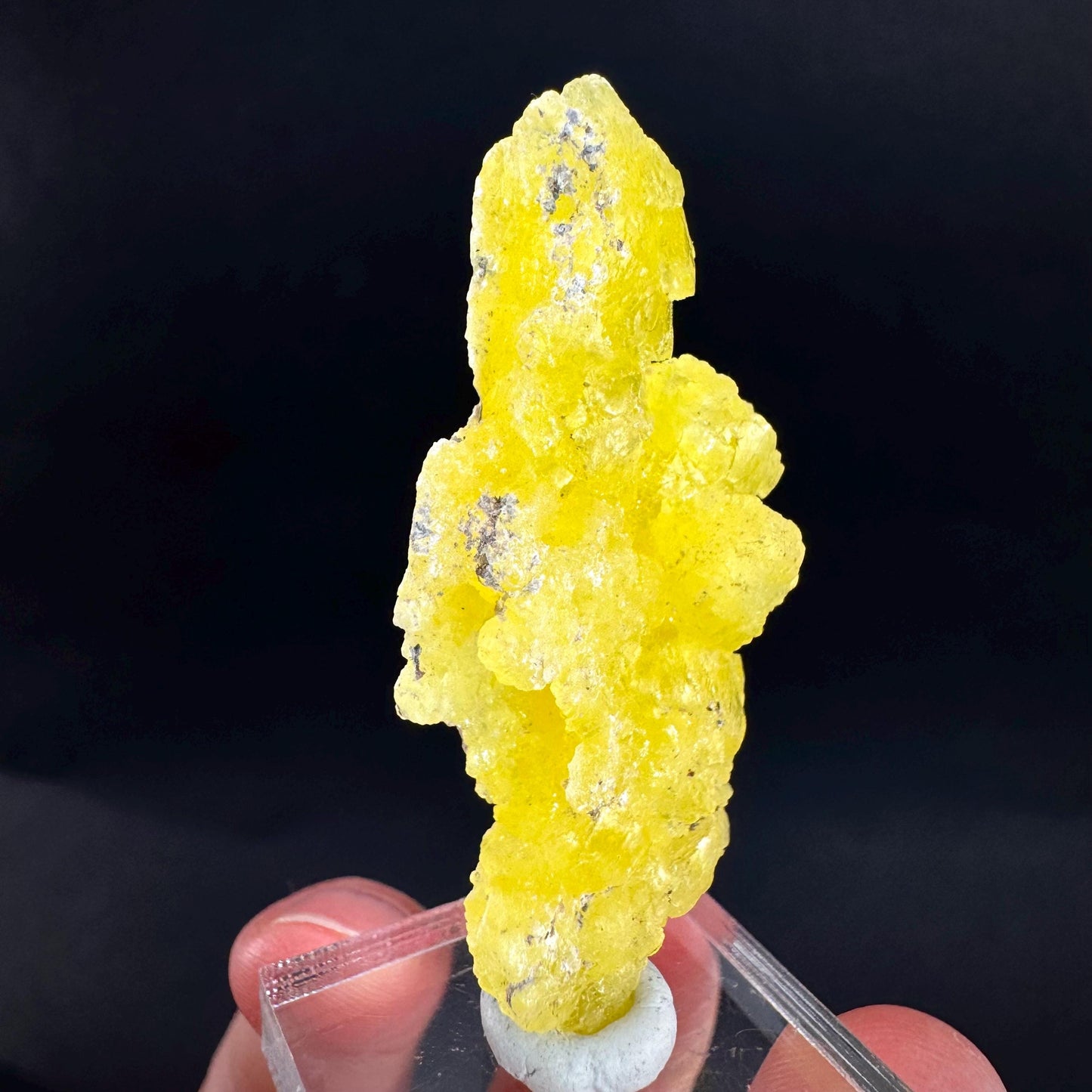 Brucite | Yellow Crystal, Lustrous Mineral Specimen From Pakistan