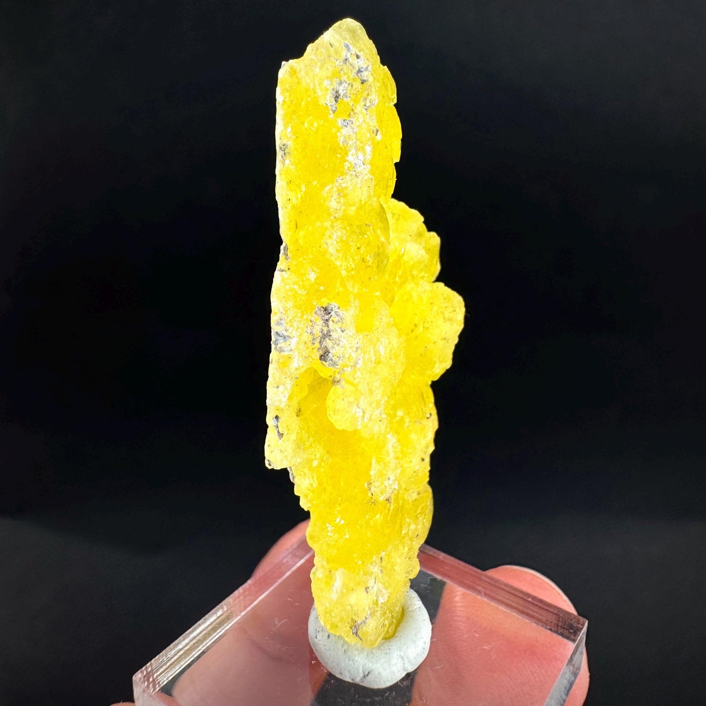 Brucite | Yellow Crystal, Lustrous Mineral Specimen From Pakistan